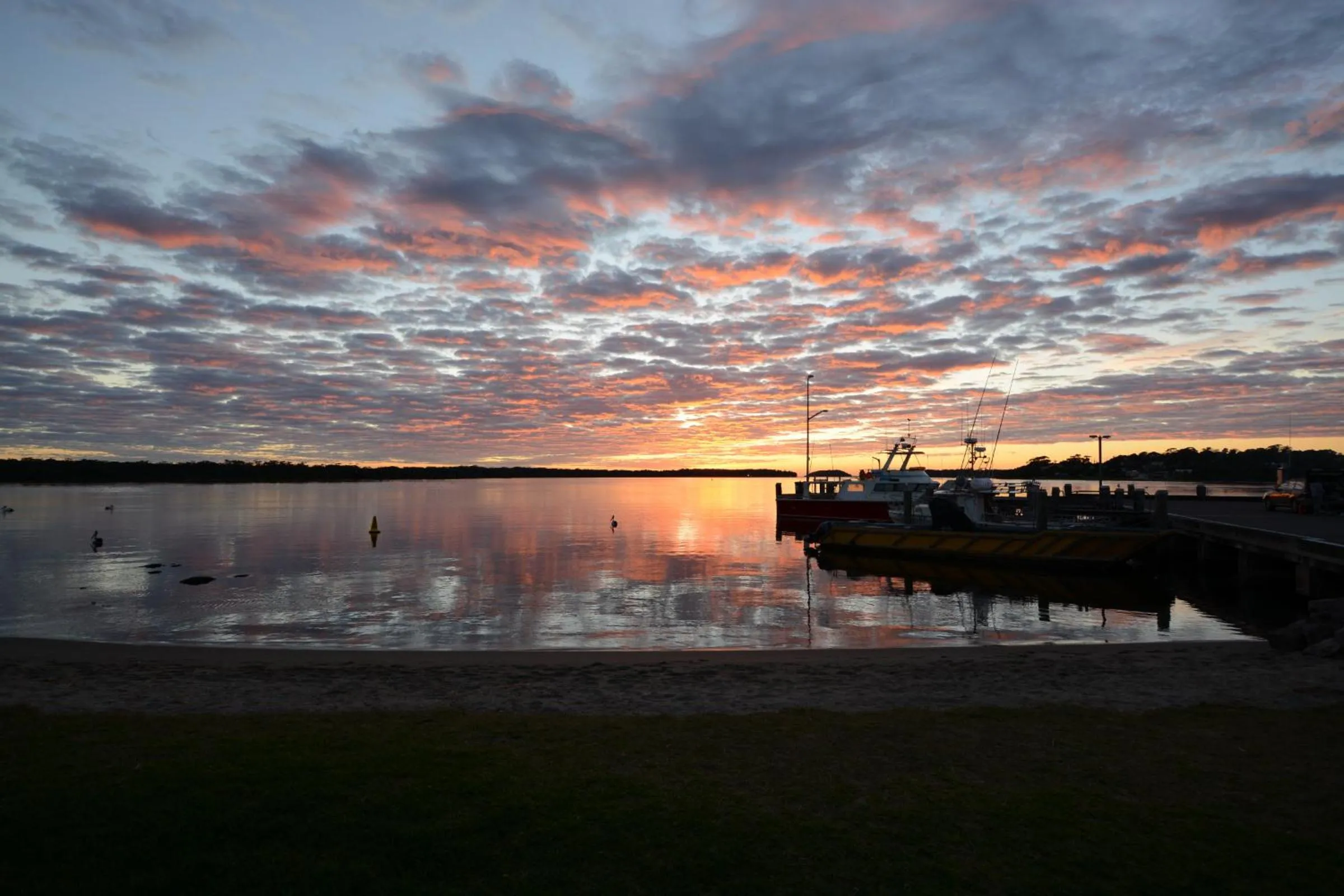 Natural landscape in Anchor Bay Motel
