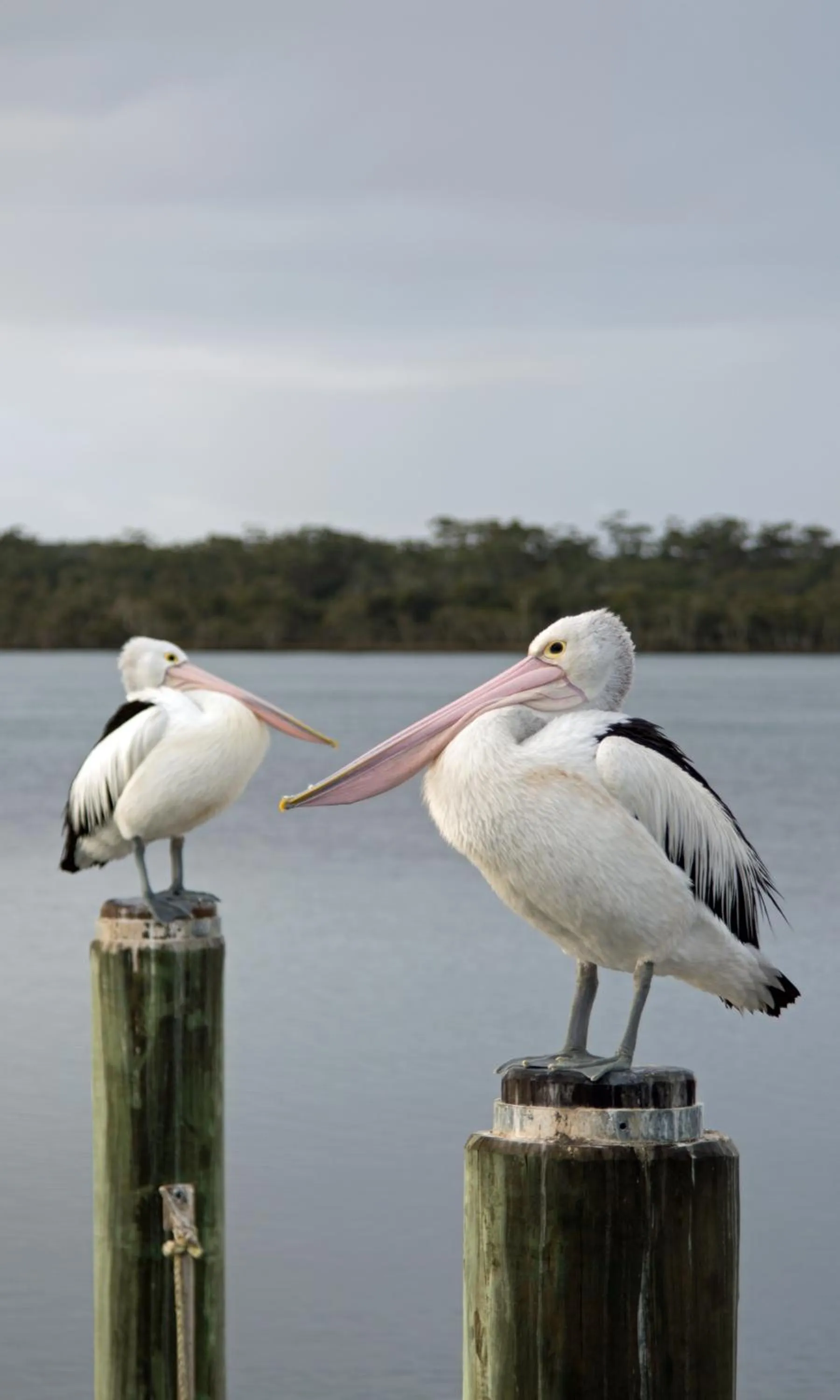 Staff in Anchor Bay Motel