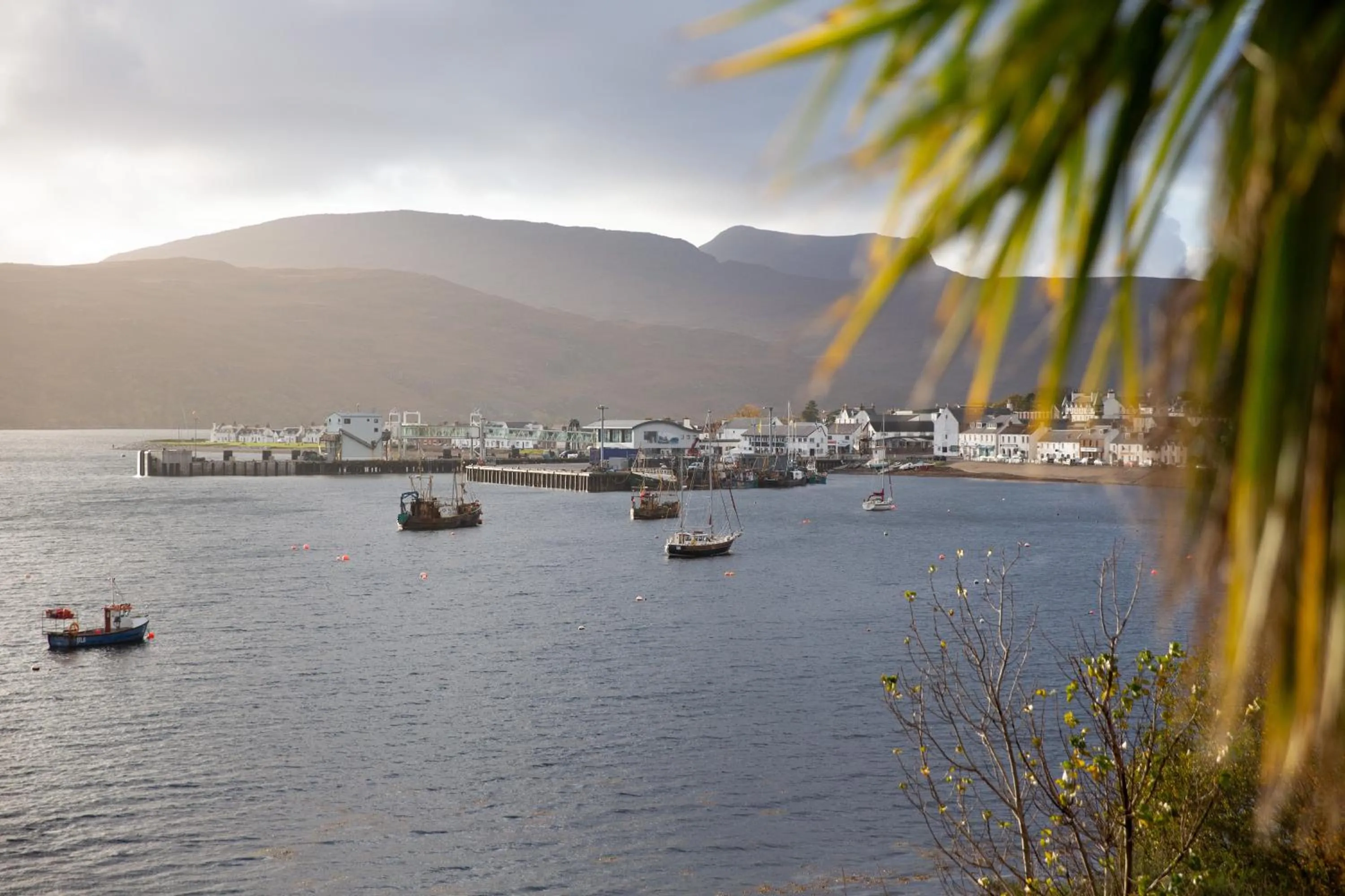 Garden view in Harbour House