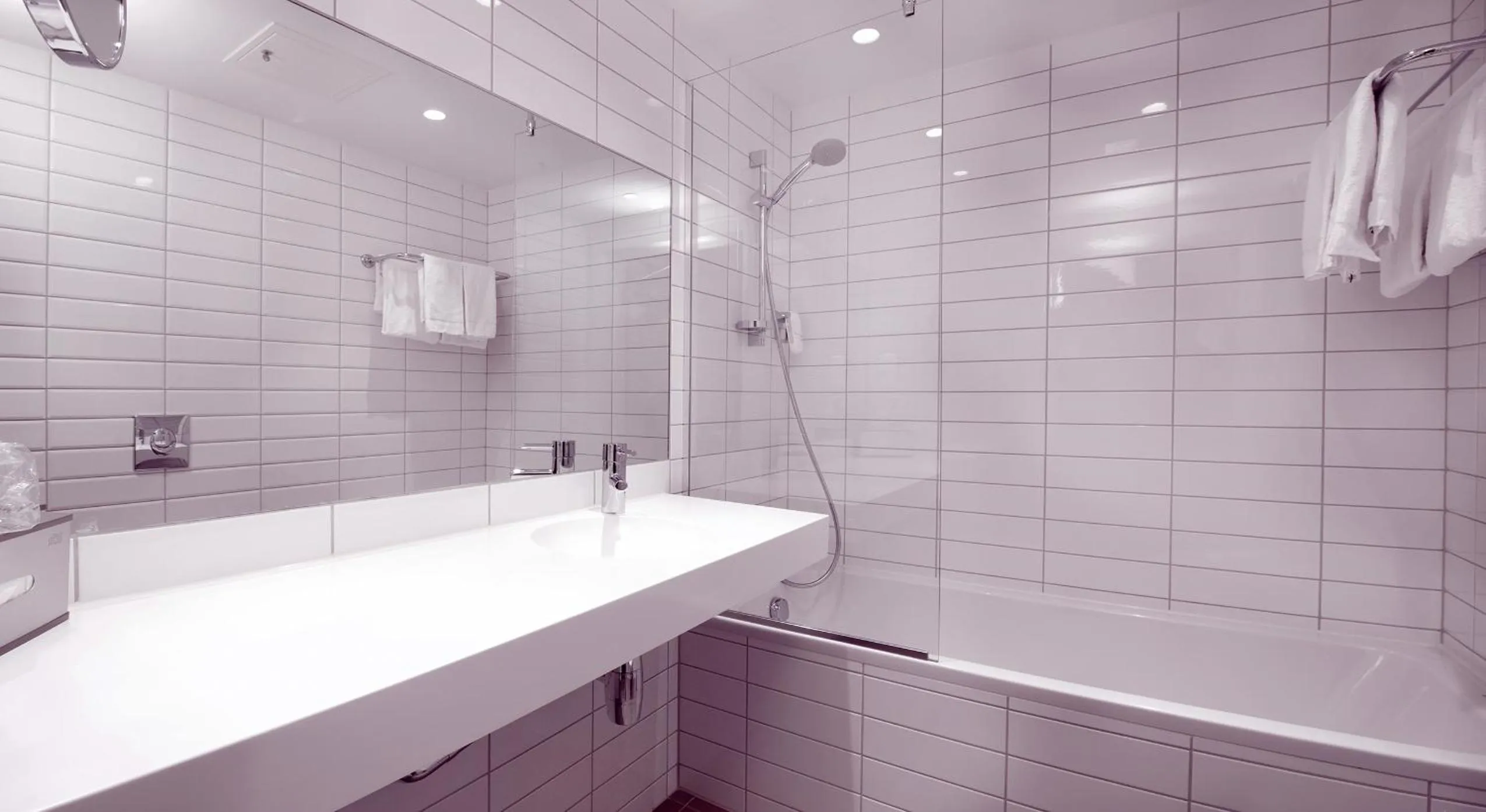 Shower in Home Hotel Astoria