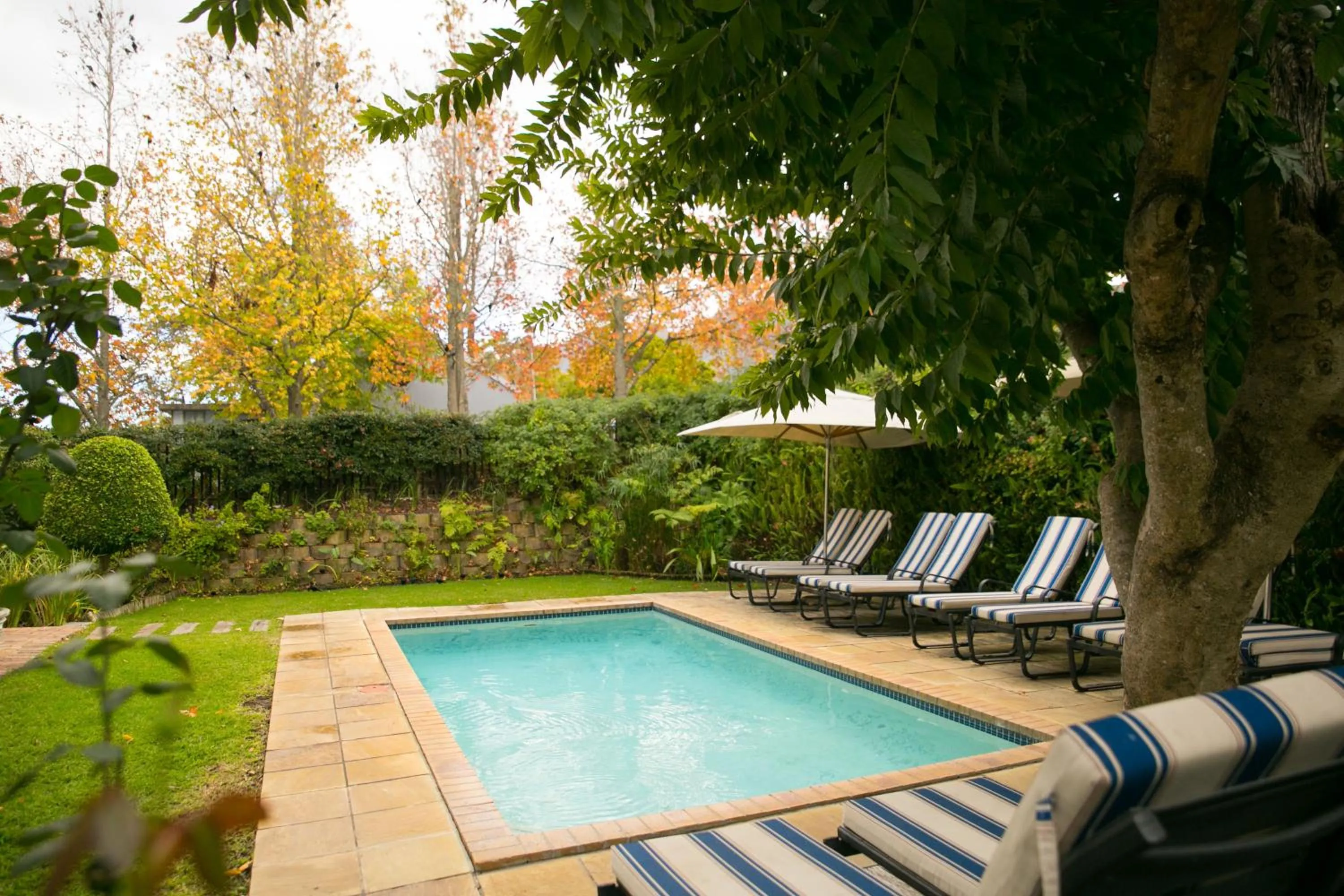 Swimming pool in Maison Chablis Guest House