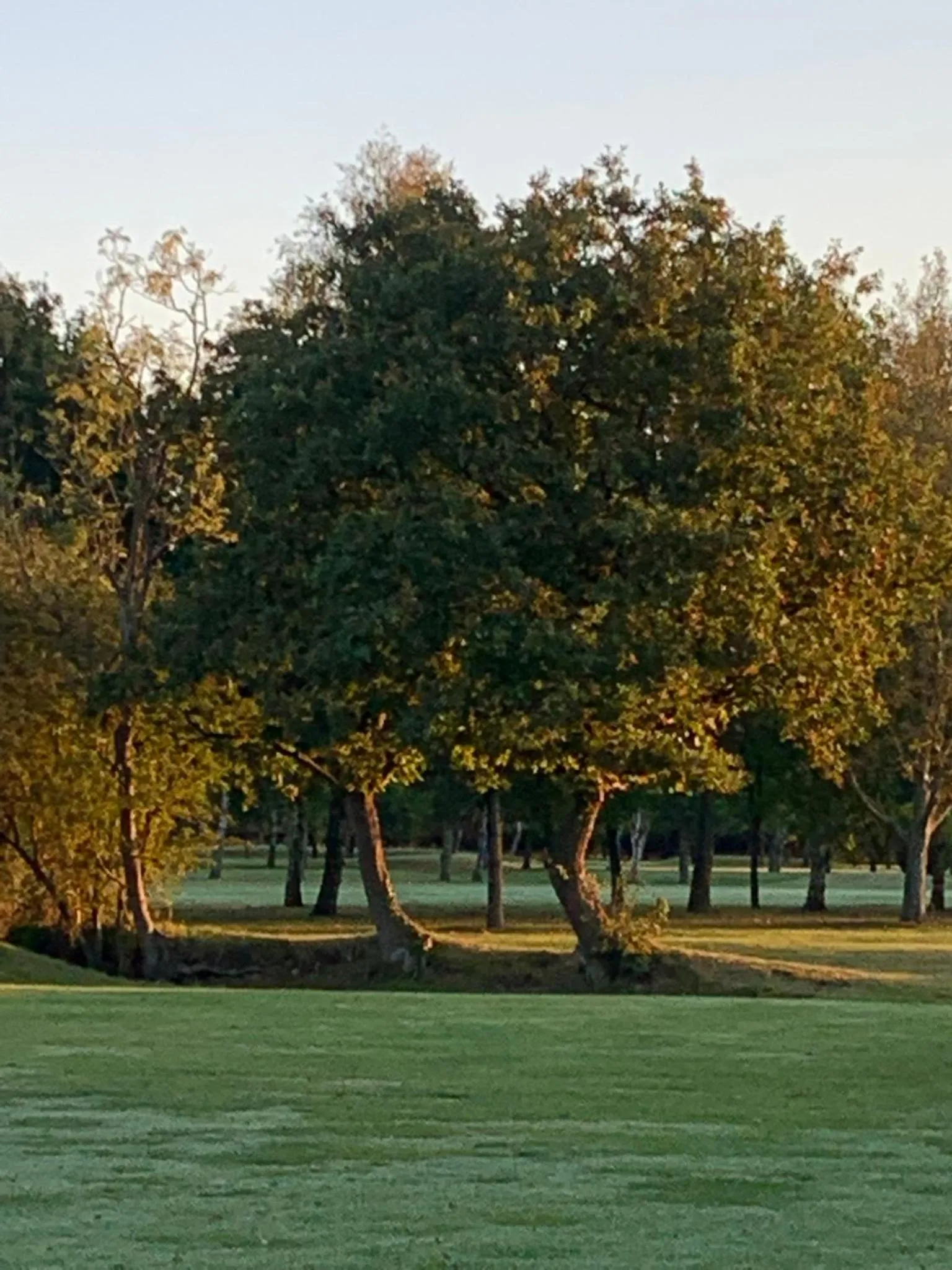 Church View B&B & Holiday Cottages