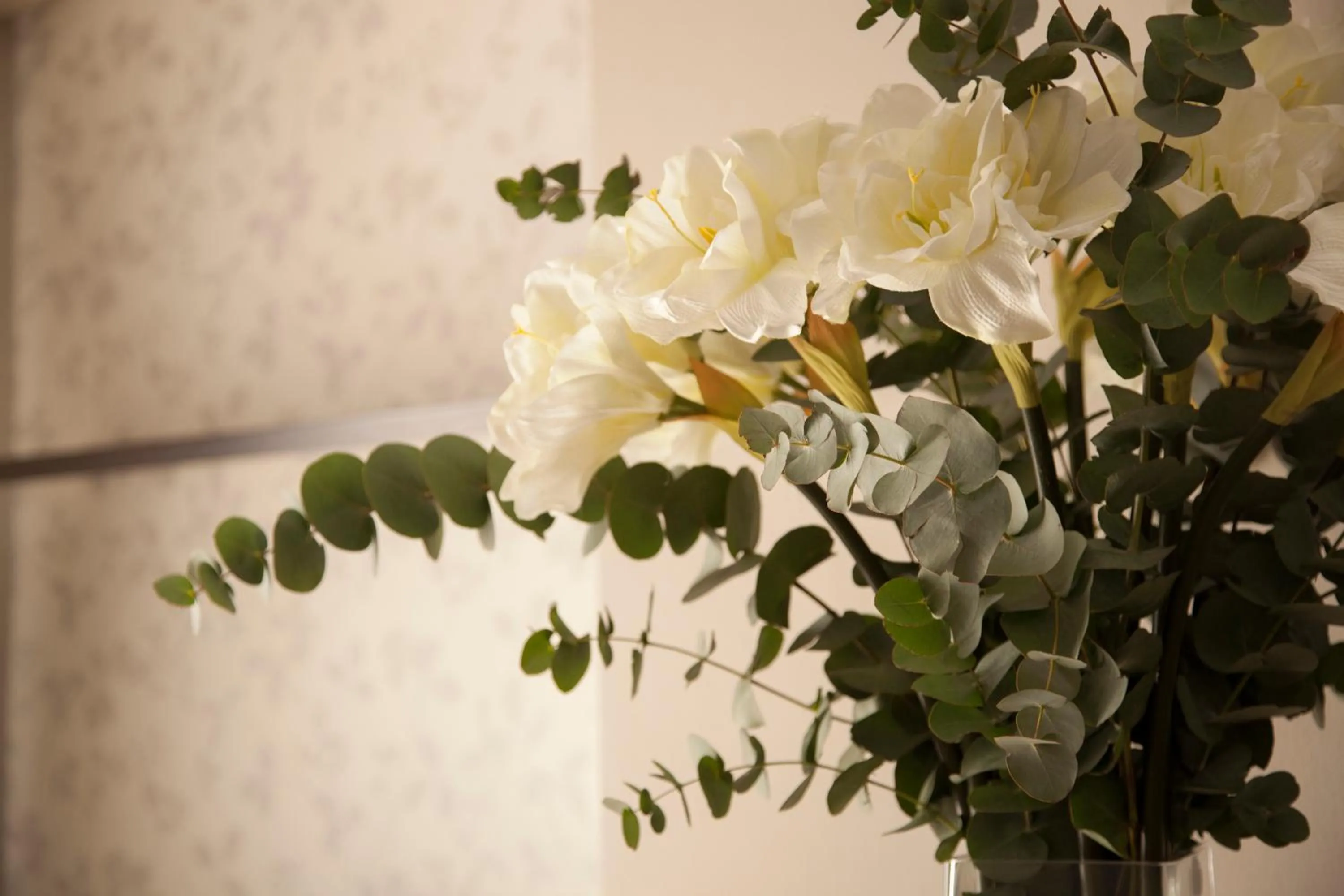 Other in Hostal Goya