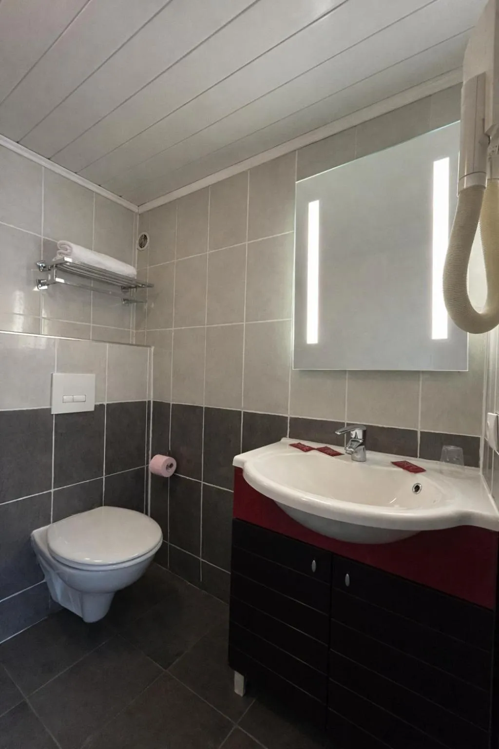 Toilet in Hôtel Belle Fontainebleau