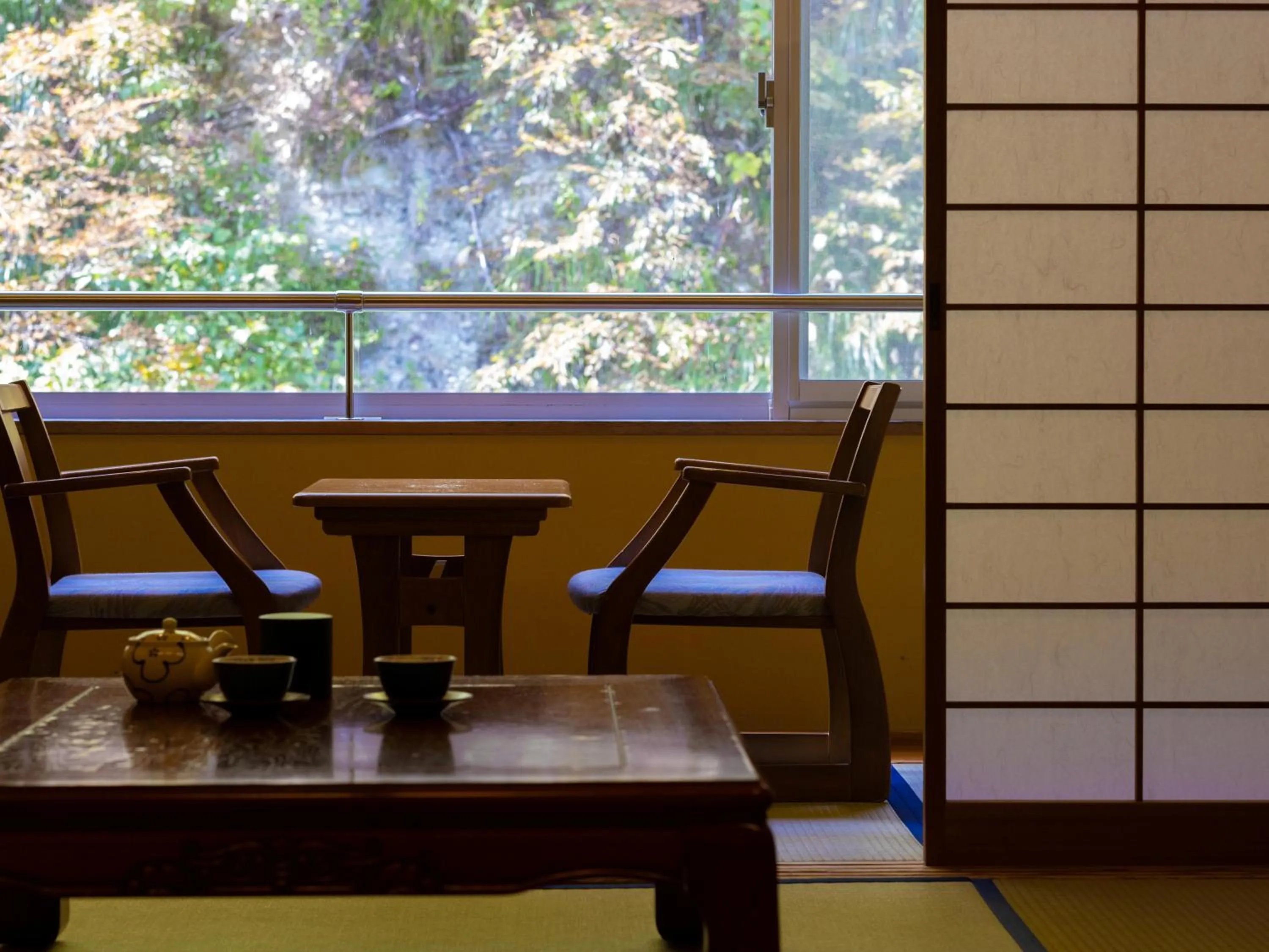 View (from property/room) in Fulsato