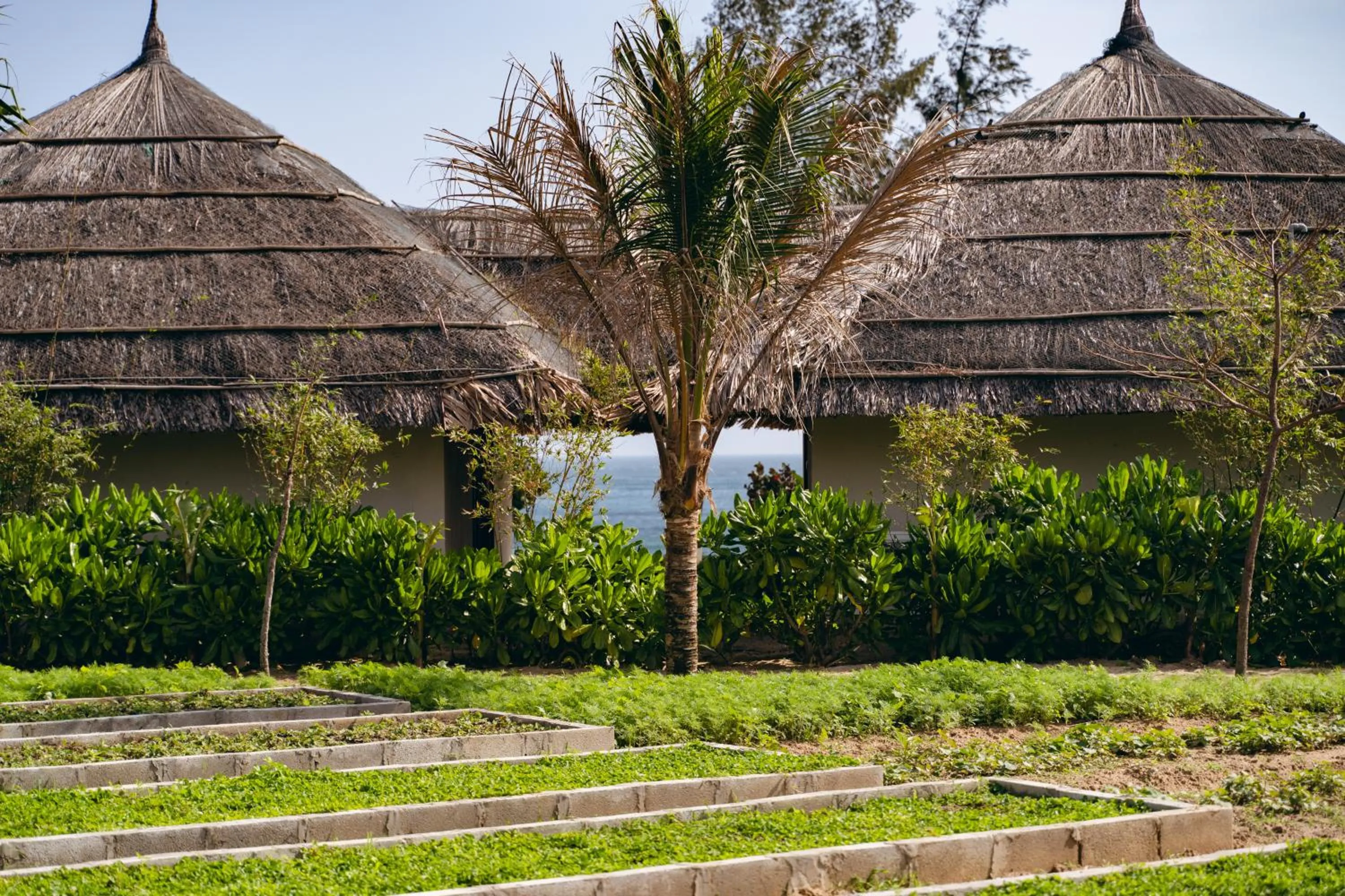 Natural landscape in Crown Retreat Quy Nhon Resort