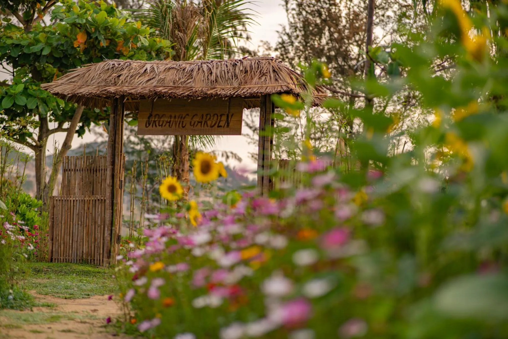 Property building in Crown Retreat Quy Nhon Resort