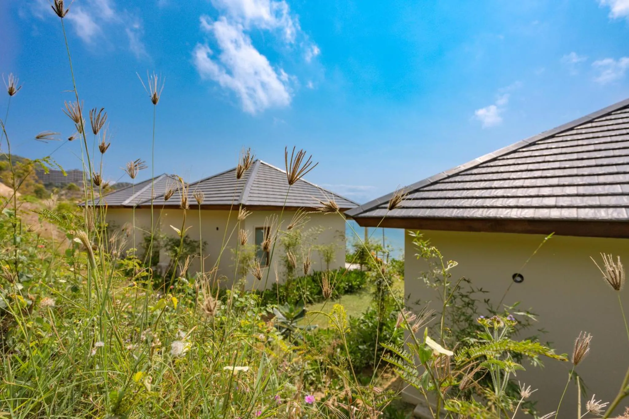 View (from property/room) in Crown Retreat Quy Nhon Resort