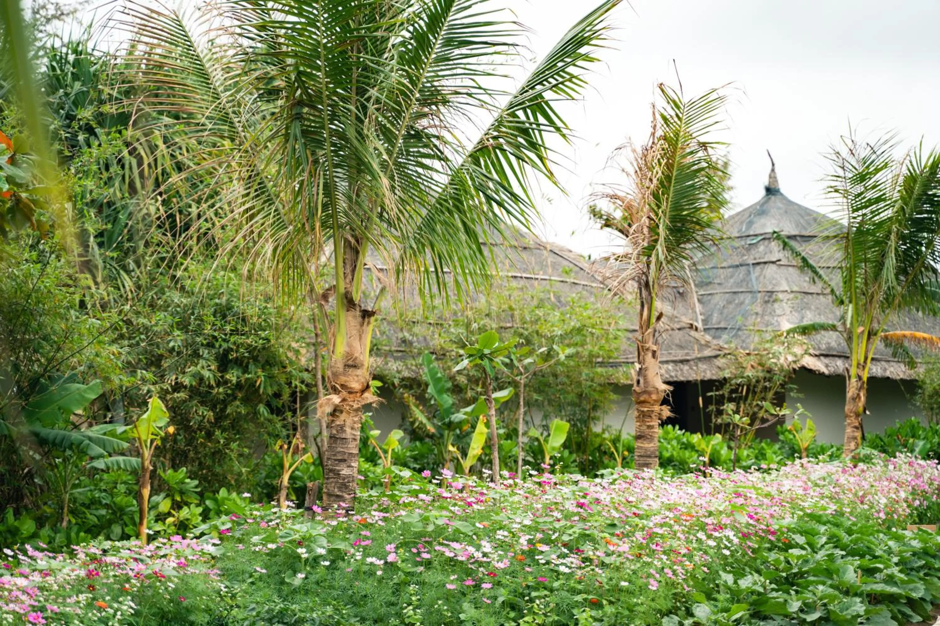 Natural landscape in Crown Retreat Quy Nhon Resort