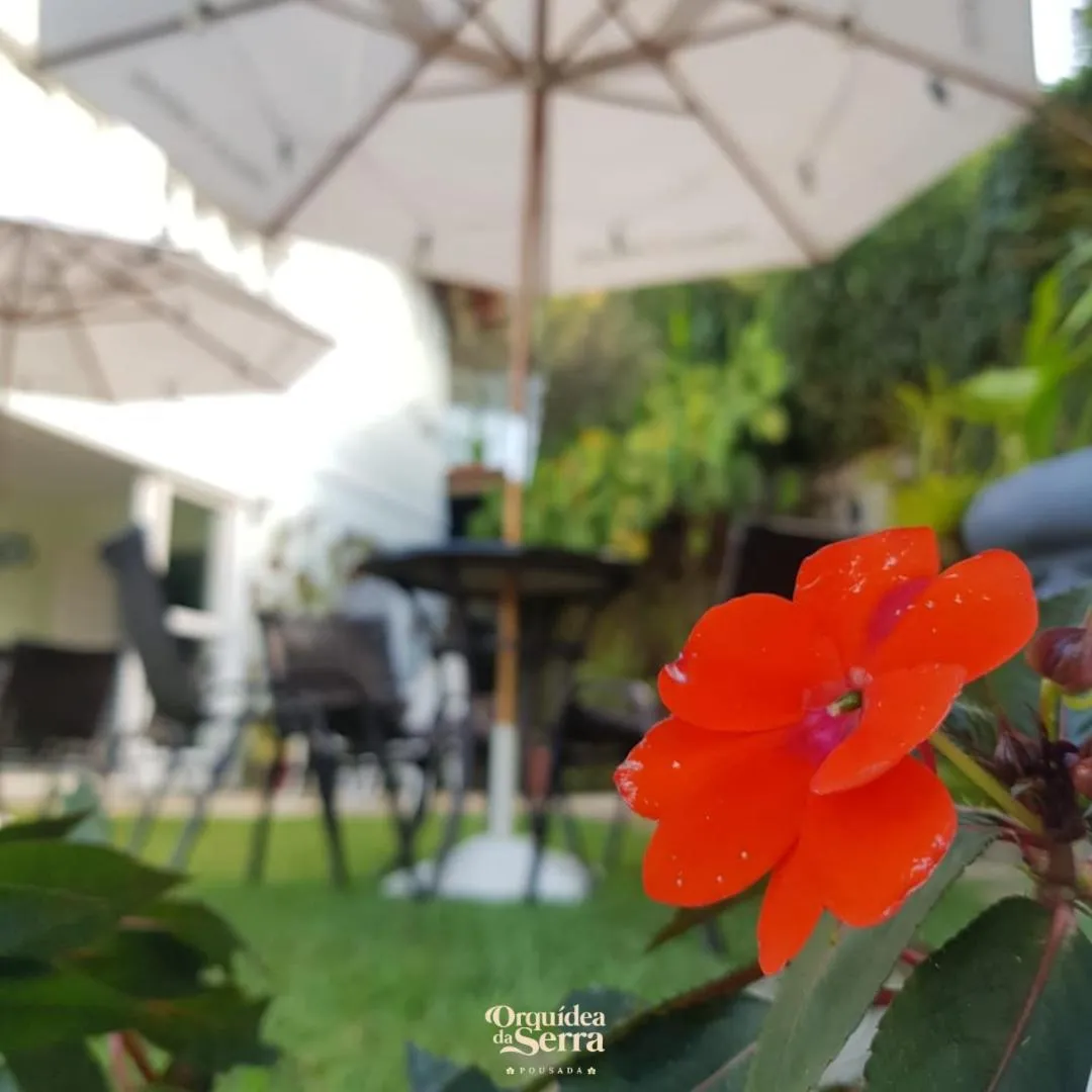 Pousada Orquidea da Serra