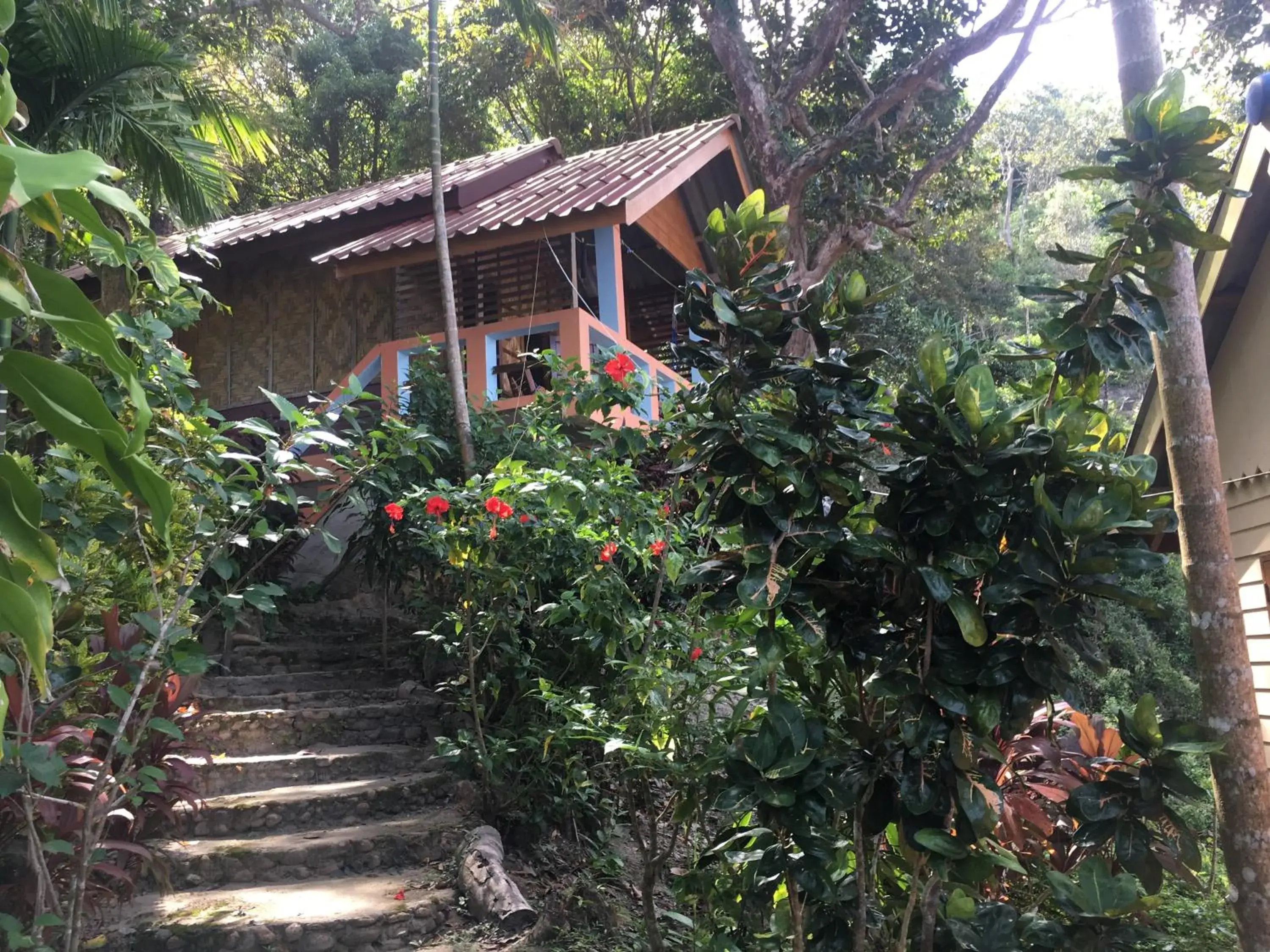 Bungalow with Sea View in Mama's Bungalows Koh Chang Ranong Bungalow with Sea View in Mama's Bungalows Koh Chang Ranong