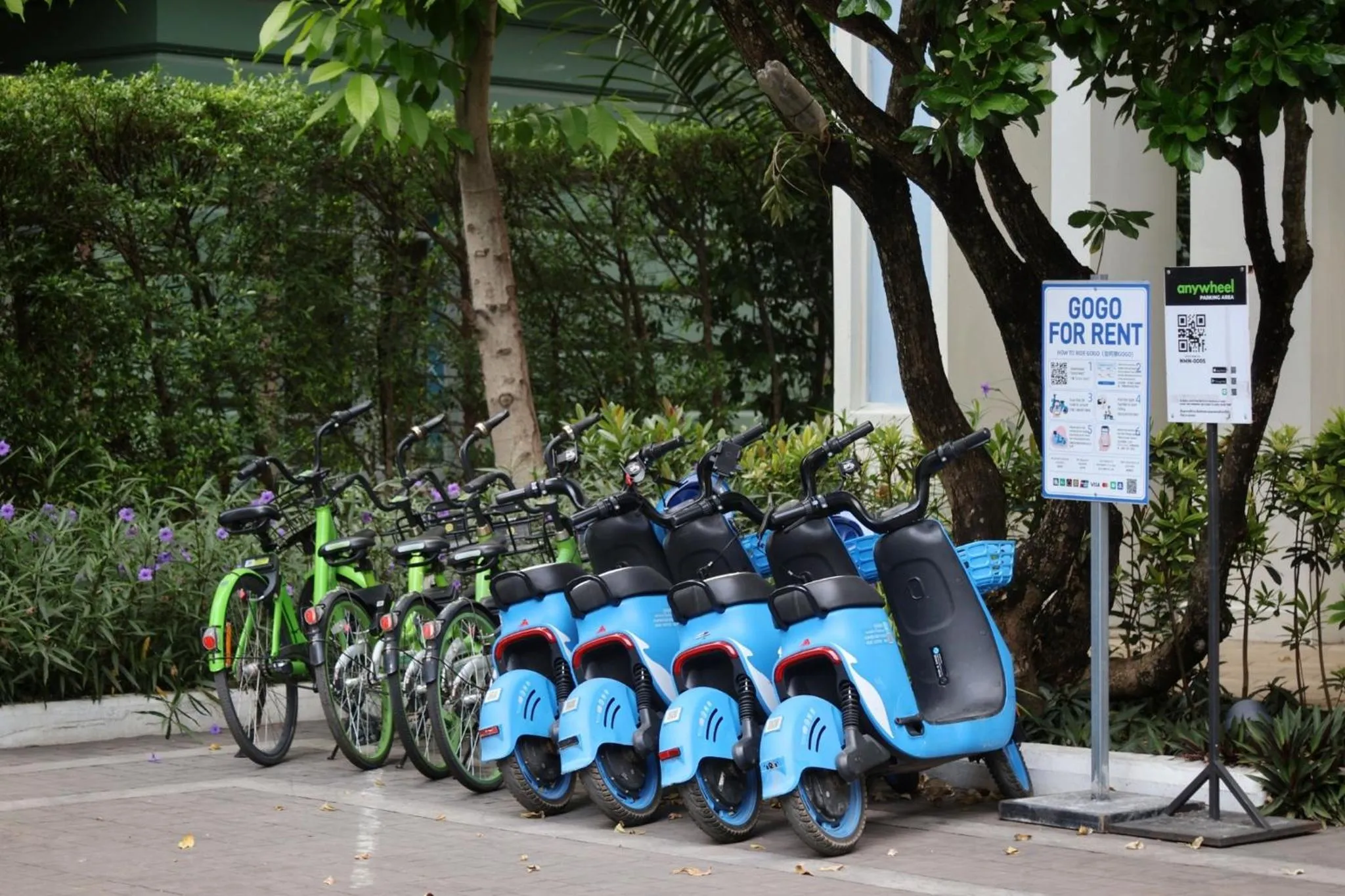 Day in Sabai Sabai Chiangmai