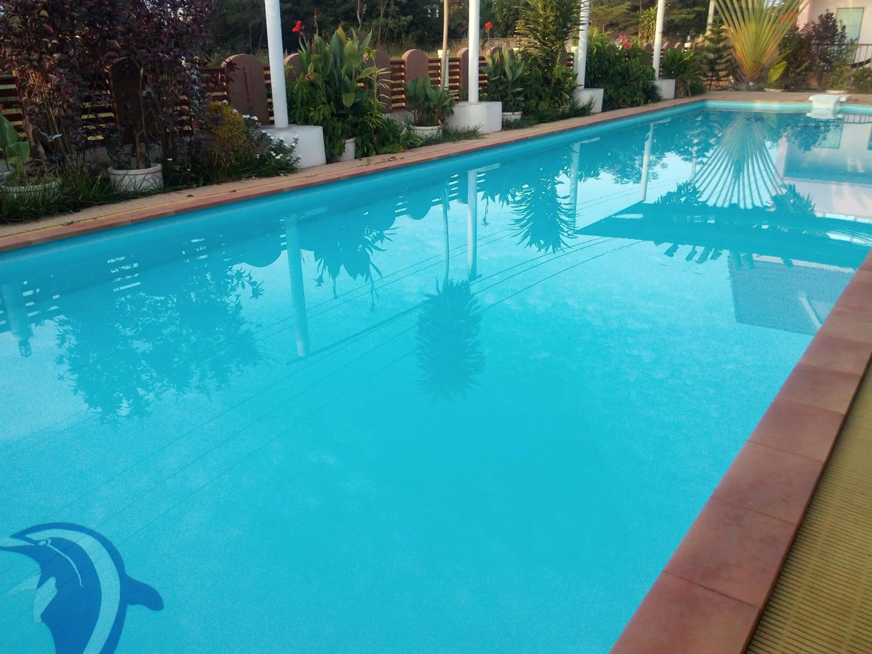 Swimming pool in Peace Pool Resort