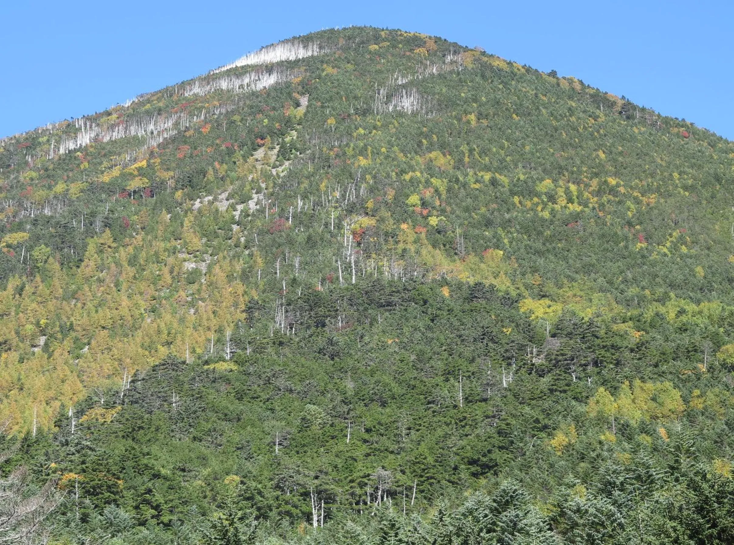 Hiking in Shikino Yado Subaru