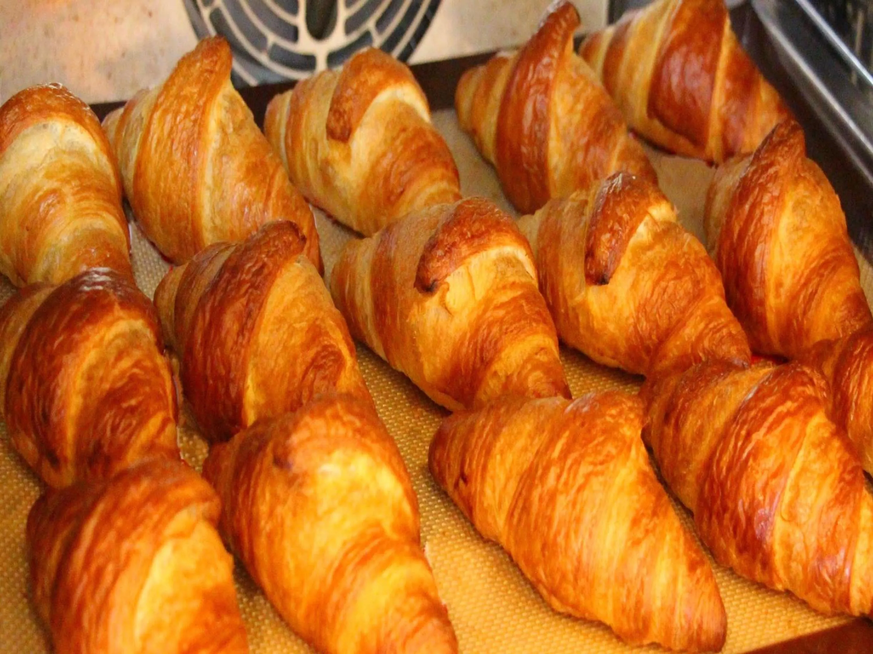 Restaurant/places to eat in HOTEL MYSTAYS PREMIER Narita