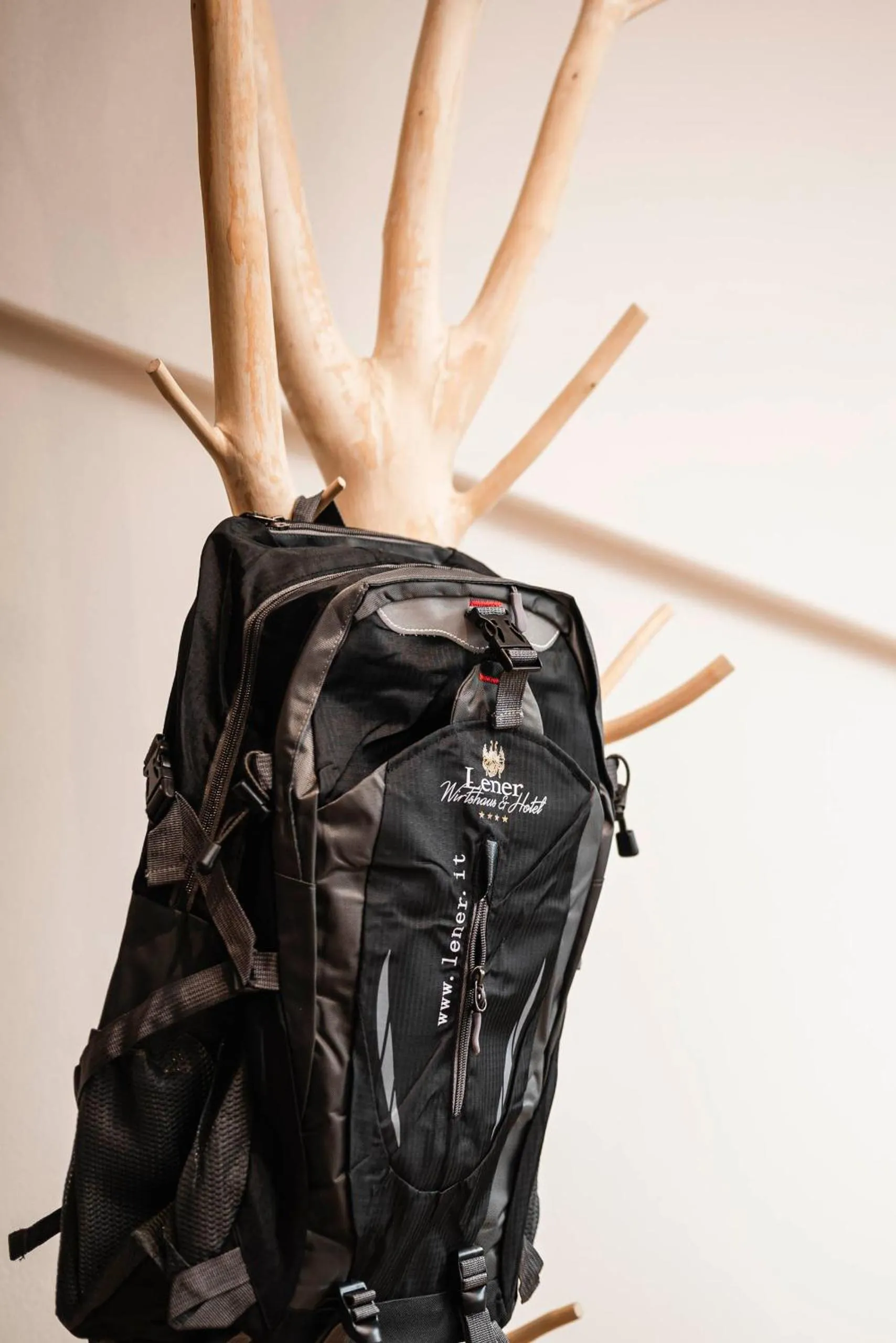 Decorative detail in Hotel Lener