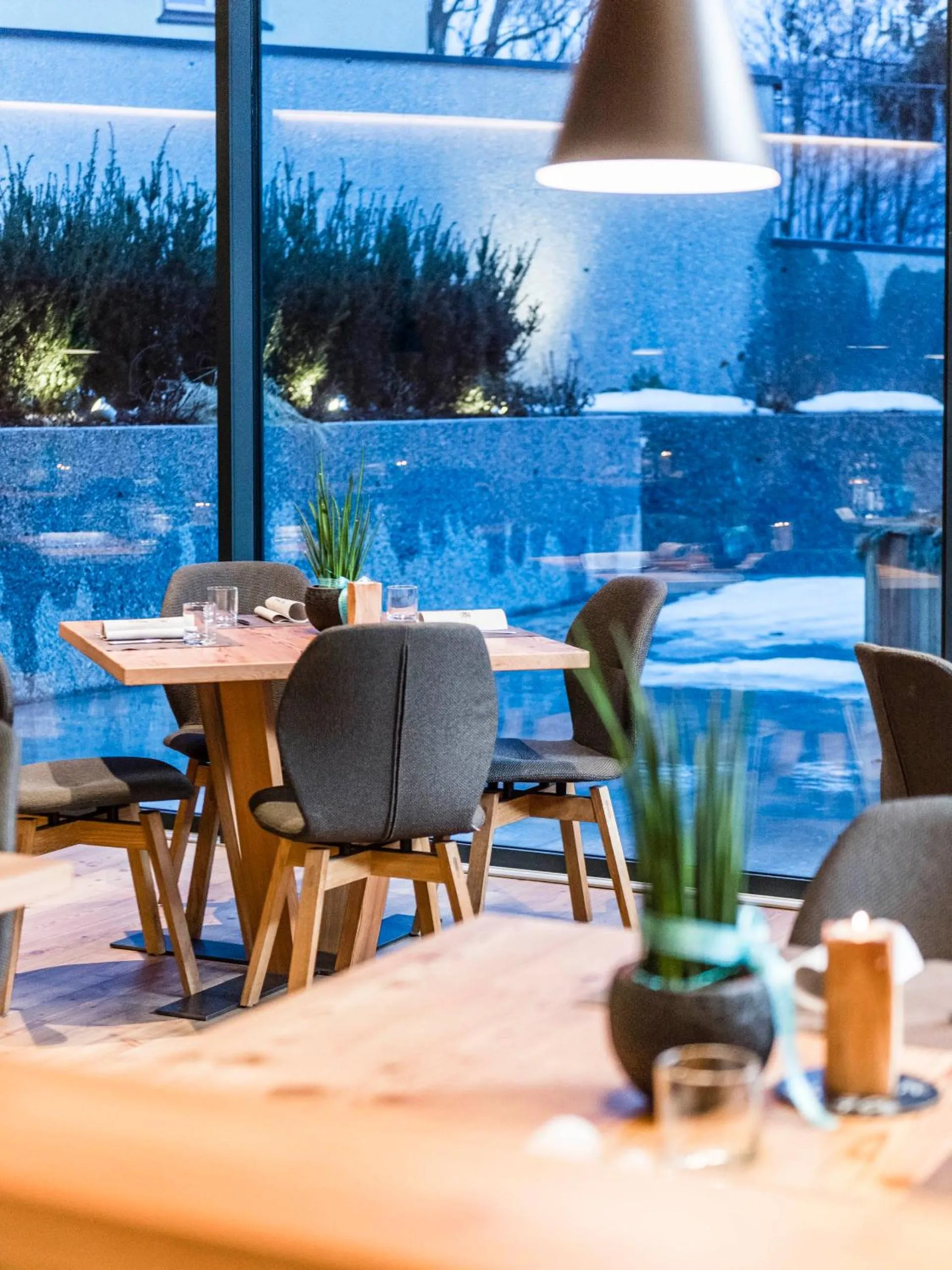 Restaurant/places to eat in Hotel Lener