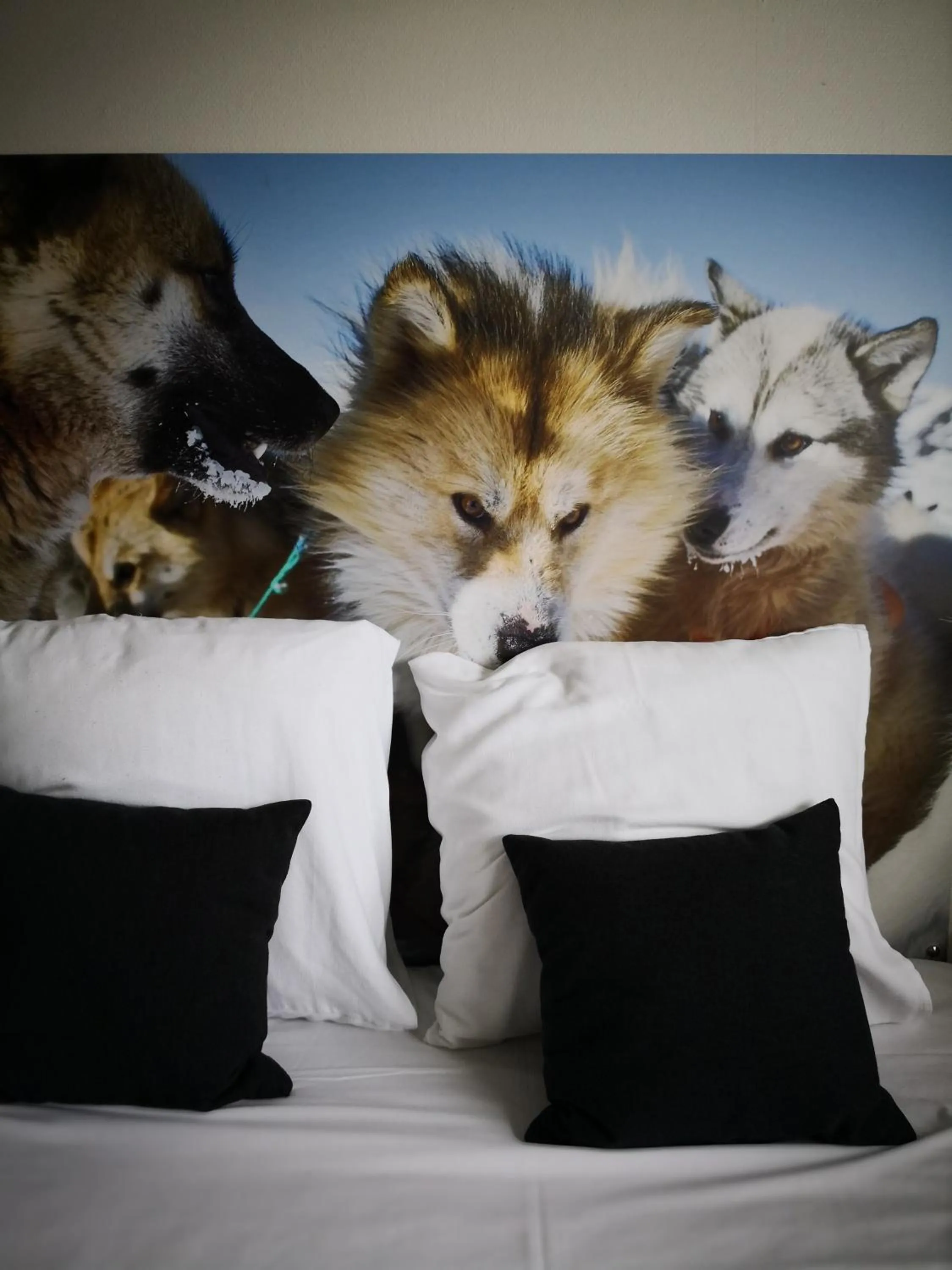 Bed in Hotel Sisimiut & Tours