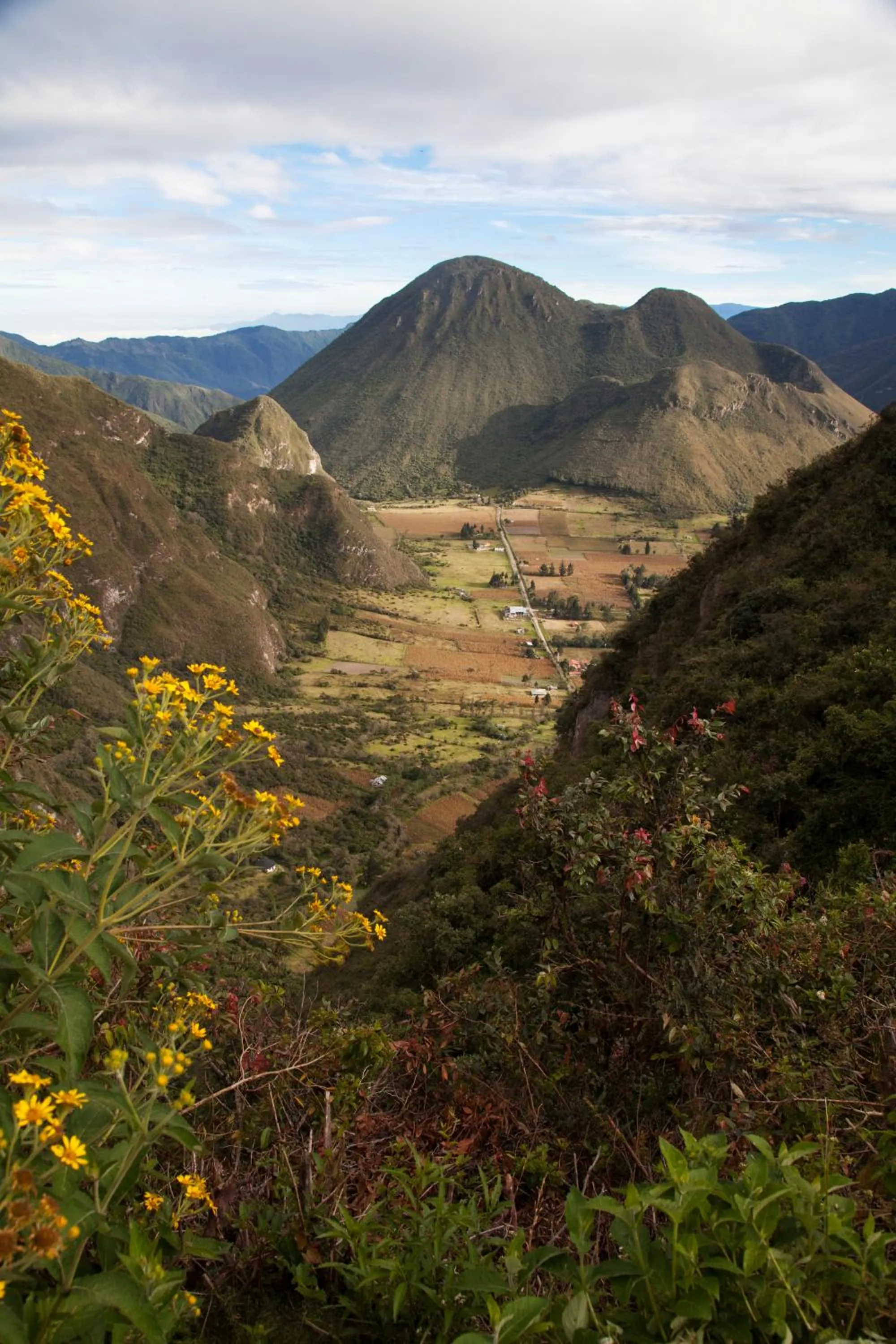 View (from property/room) in El Crater