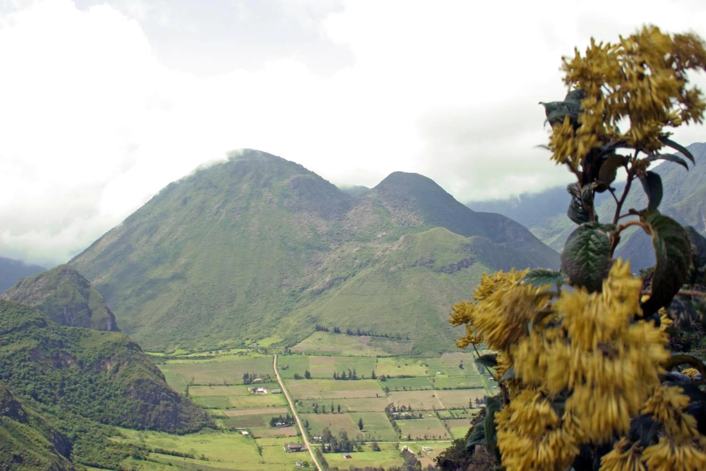 Facade/entrance in El Crater