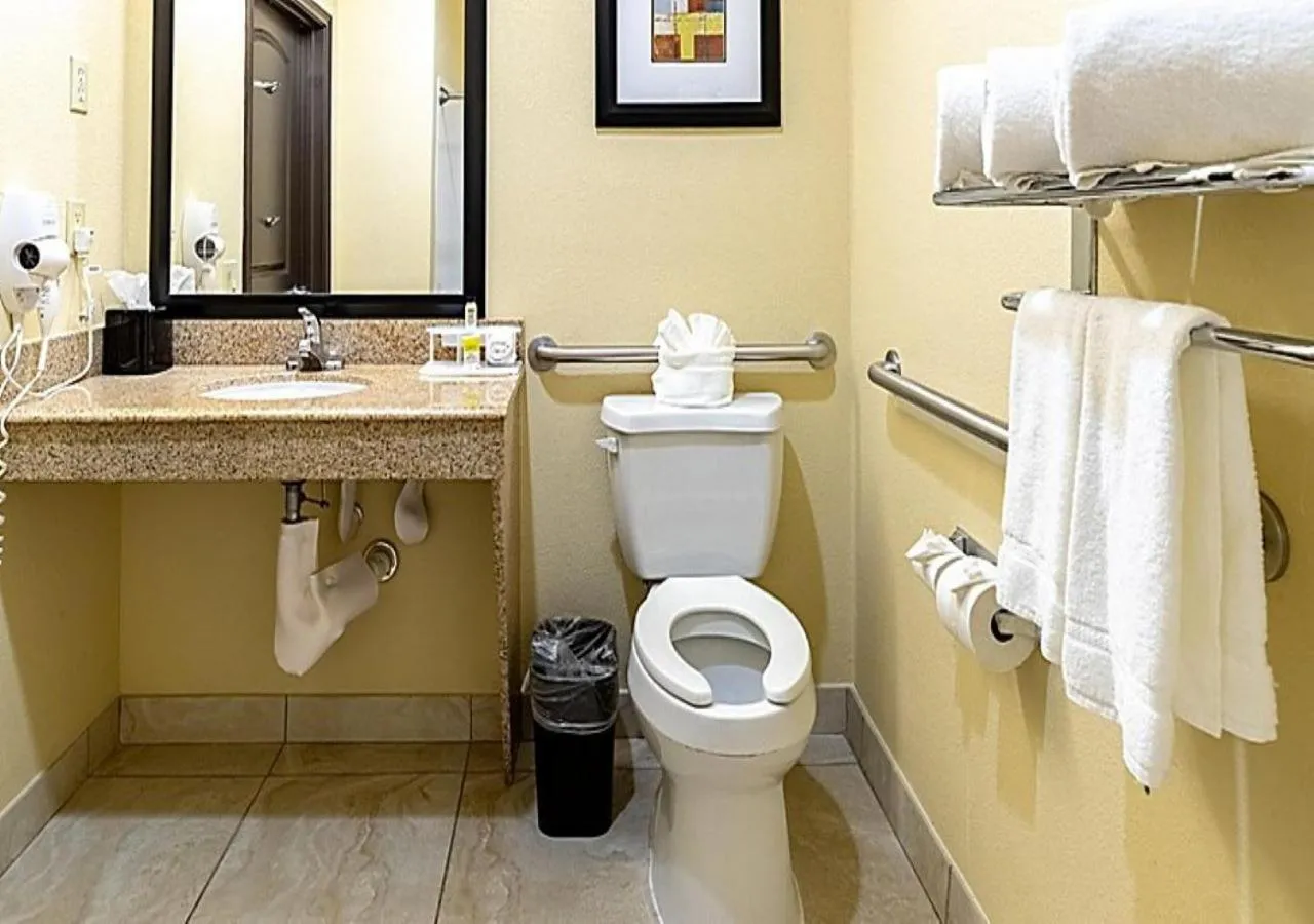 Bathroom in Holiday Inn Express & Suites Houston South - Near Pearland by IHG