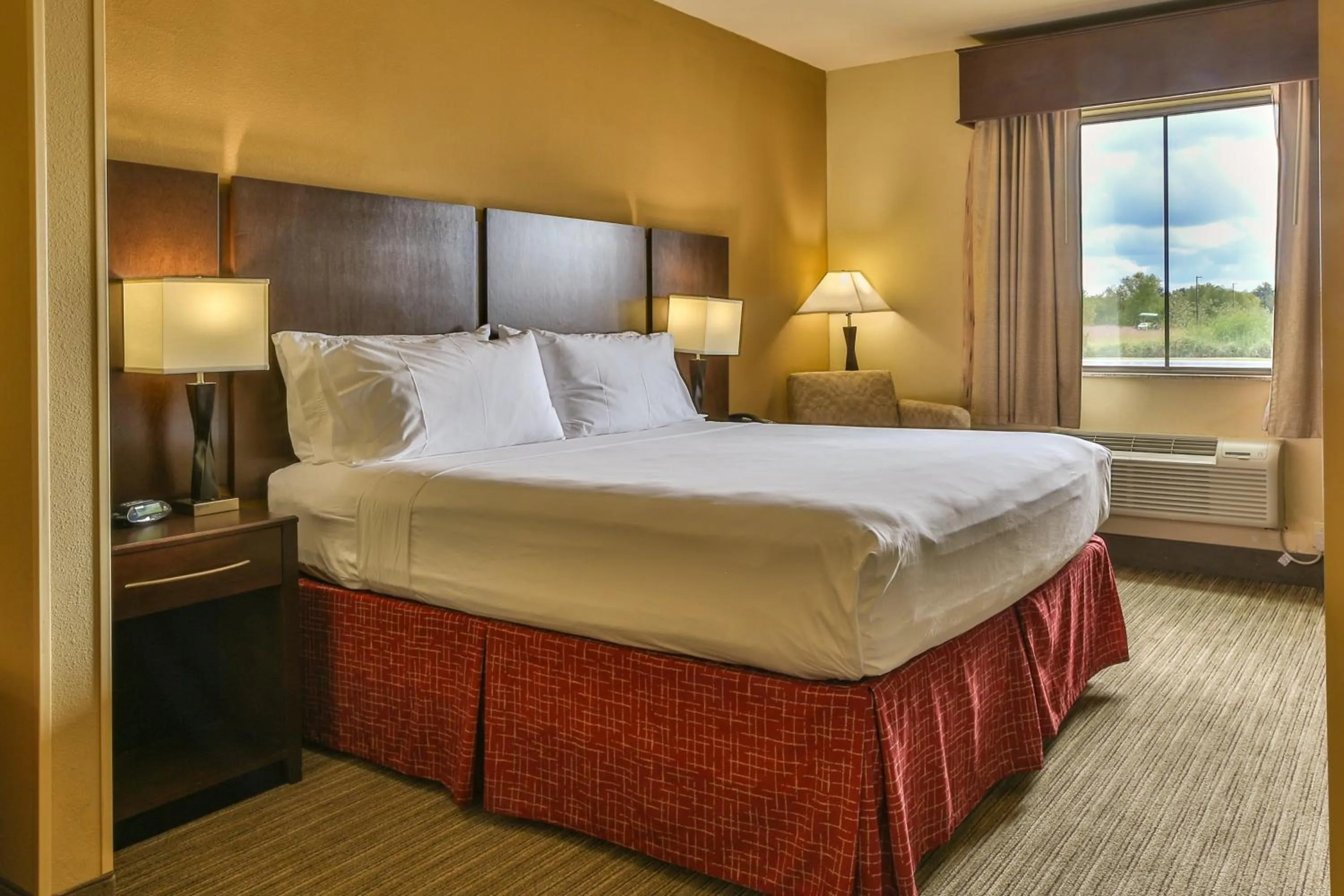 Photo of the whole room, Bed in Holiday Inn Express & Suites Houston South - Near Pearland by IHG