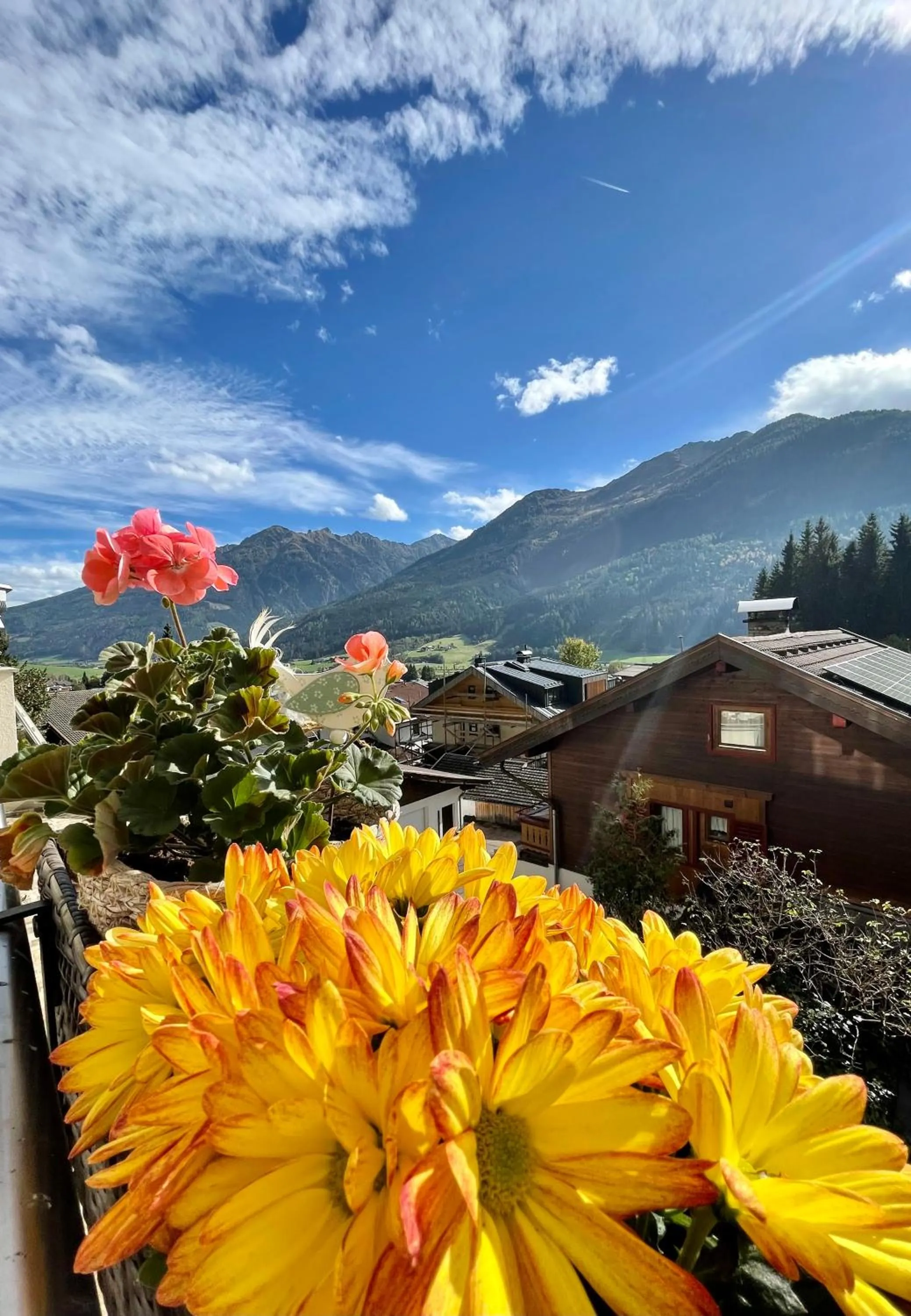 Mountain view in Hotel Alta Vista