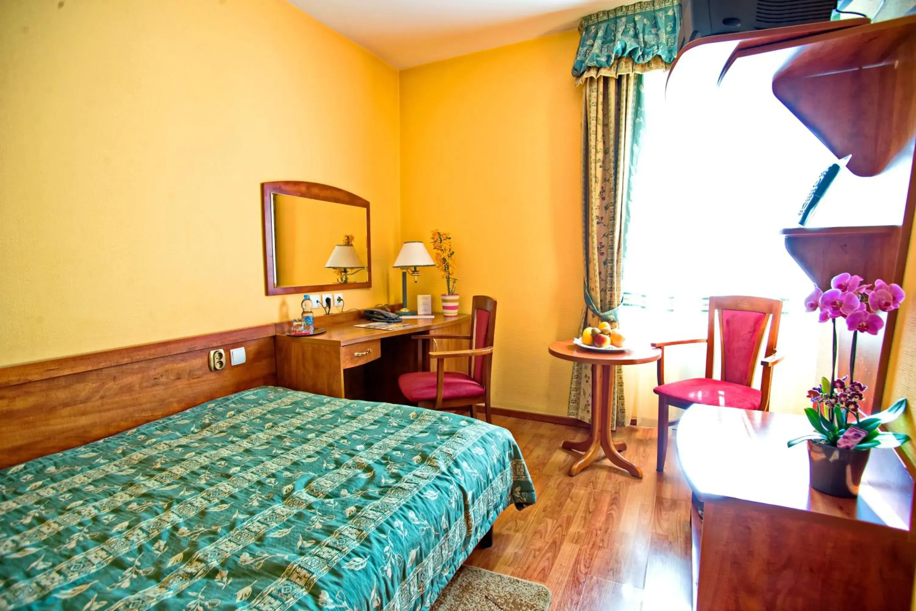 Single Room in Hotel Pietrak Single Room in Hotel Pietrak