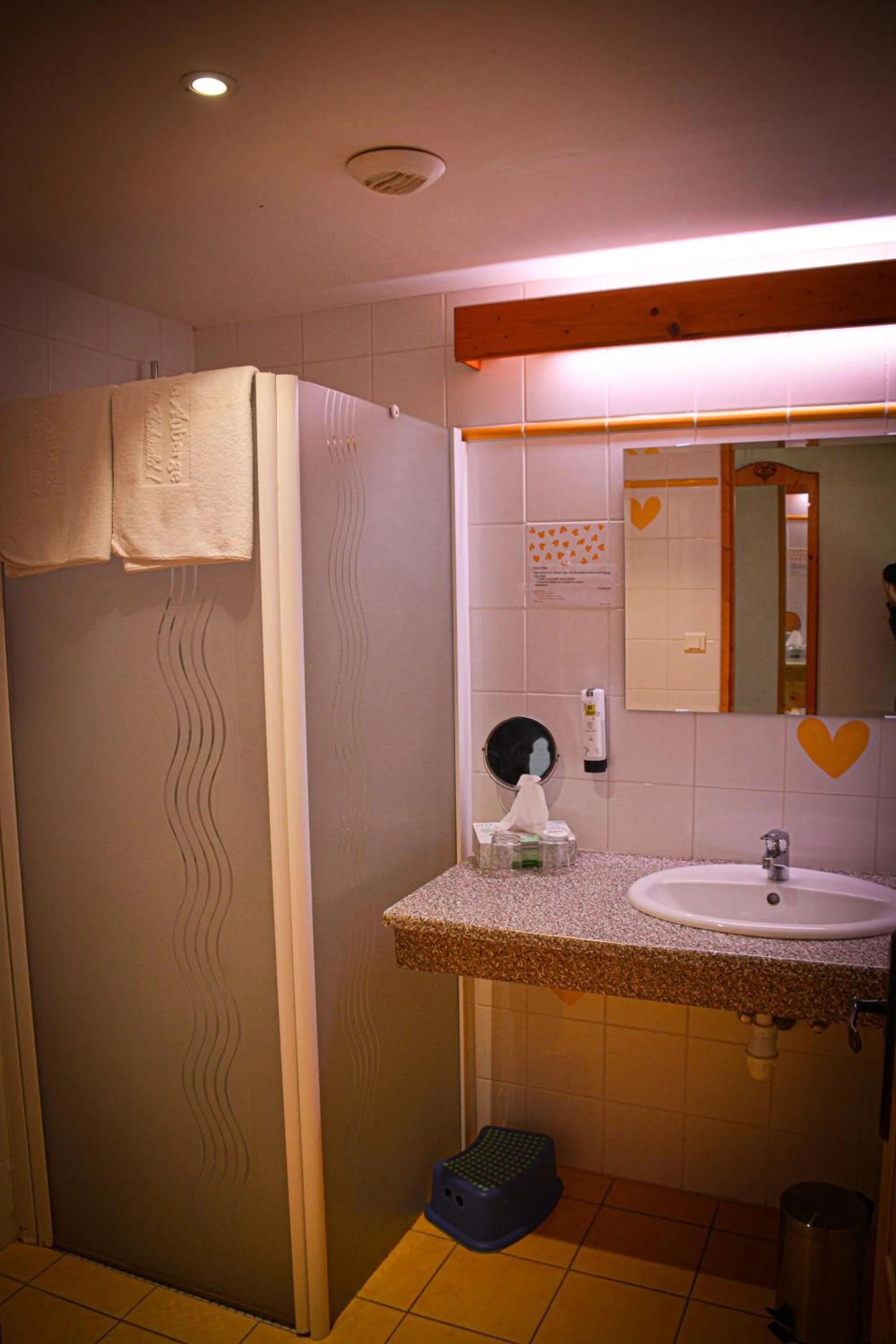 Bathroom in Logis Hôtel Restaurant La Petite Auberge Alsace