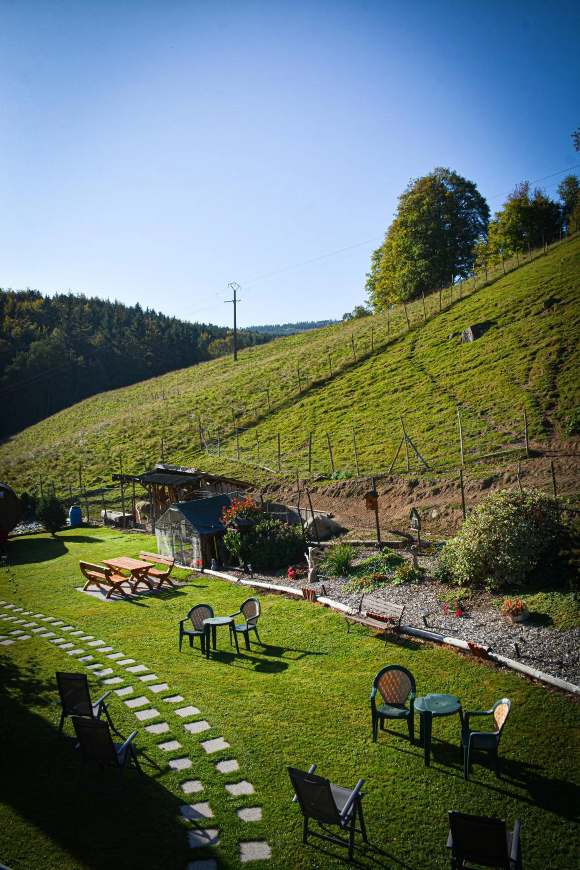 Logis Hôtel Restaurant La Petite Auberge Alsace