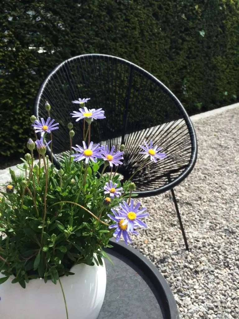 Garden view in Bed & Breakfast Esprit de Mer