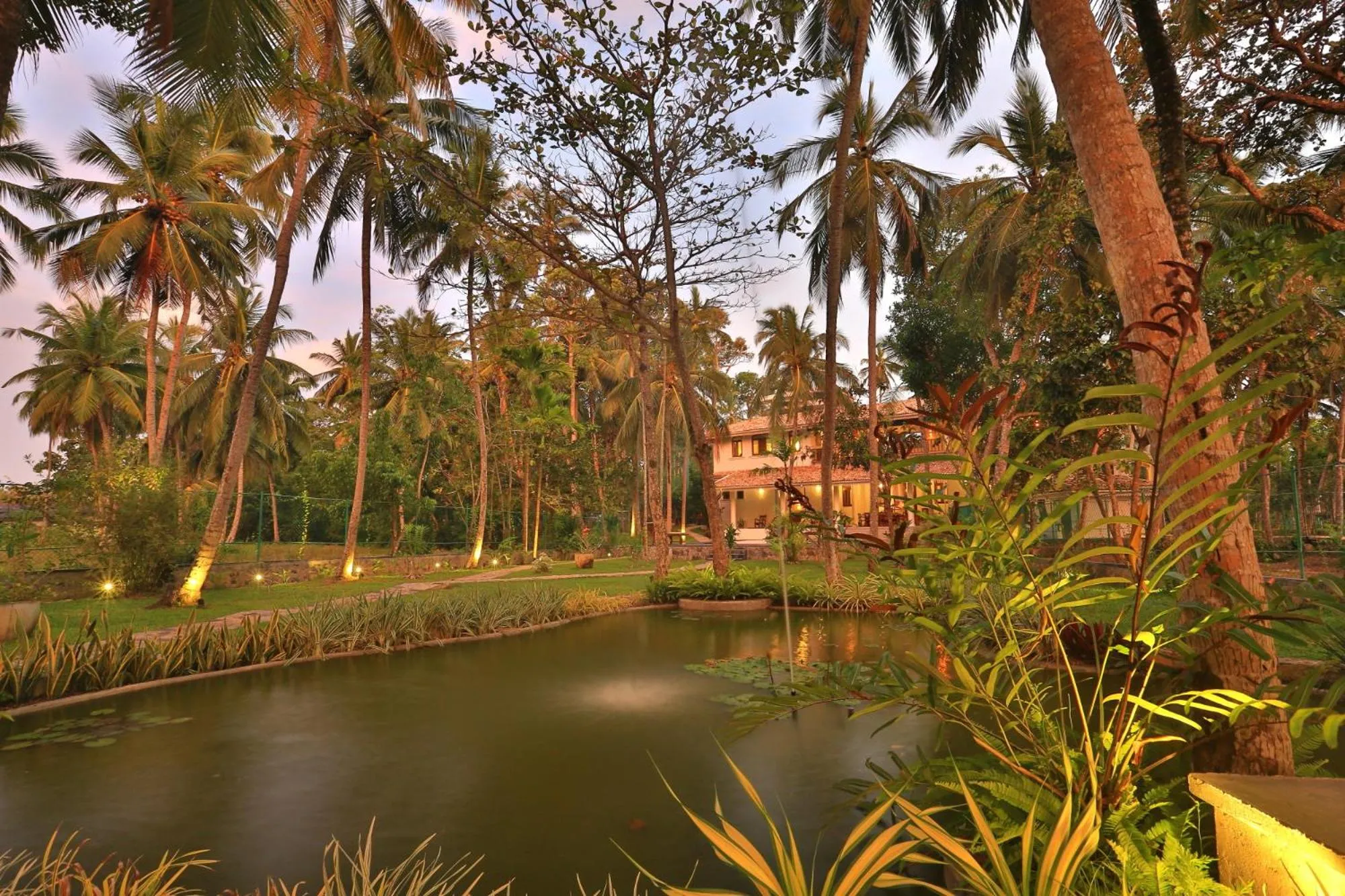 Garden in Amara Villa