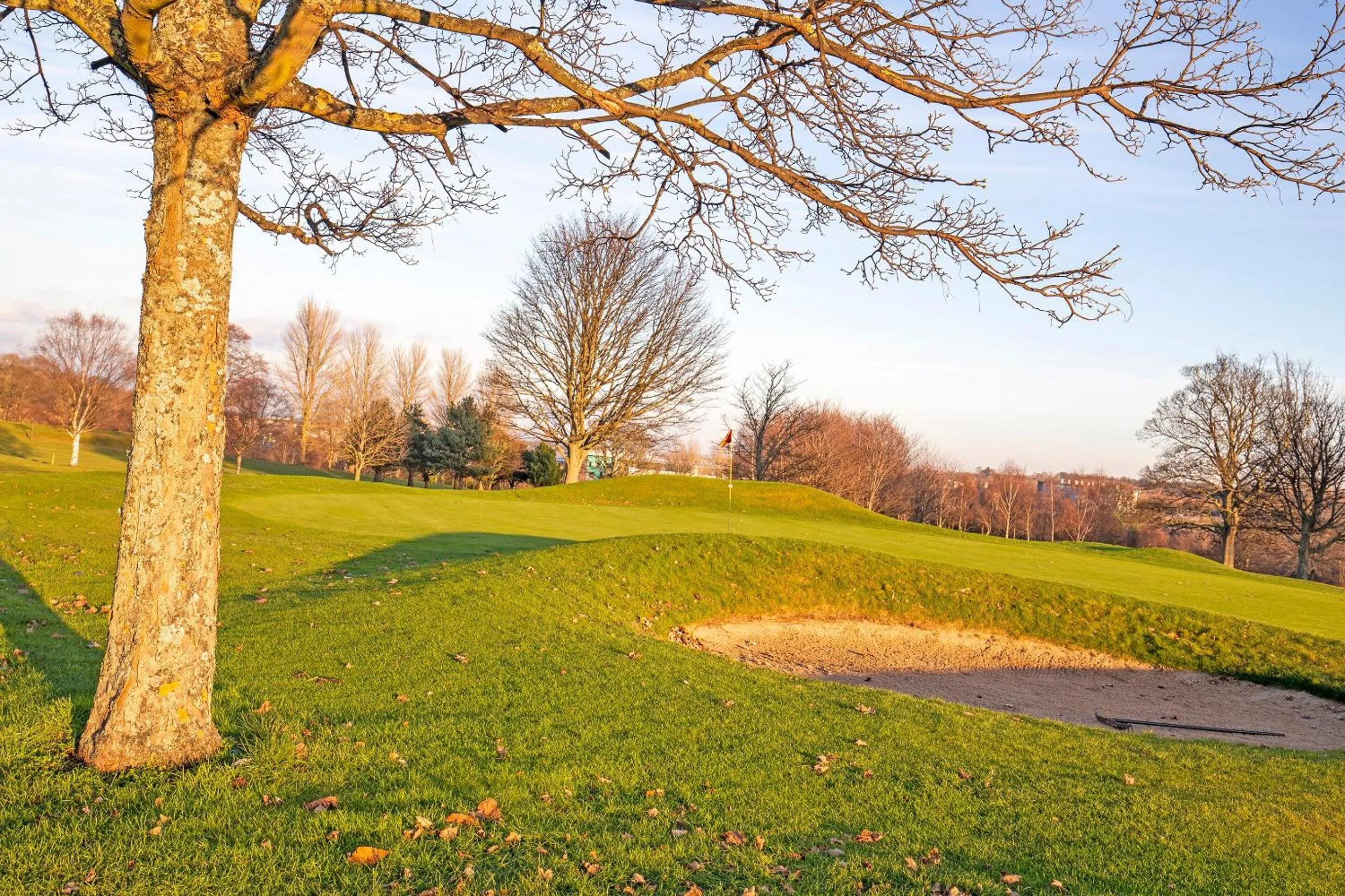 Entertainment in Arden Guest House, Craigmillar Castle Edinburgh