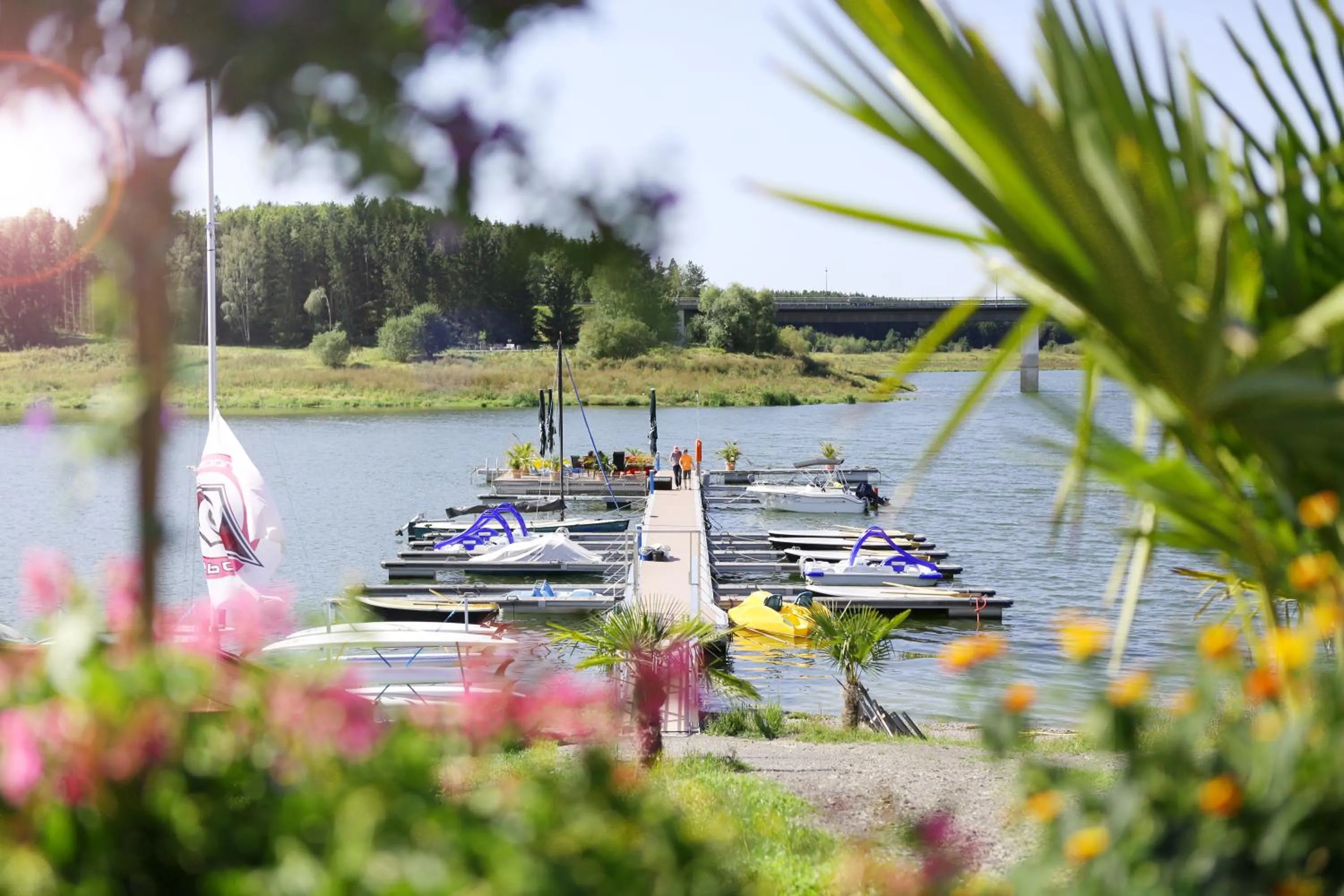 Summer in Bio-Seehotel Zeulenroda