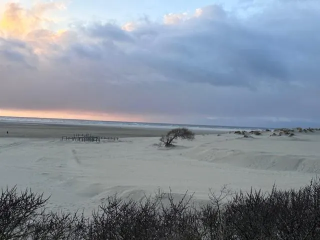 Natural landscape in Hotel Villa Weststrand