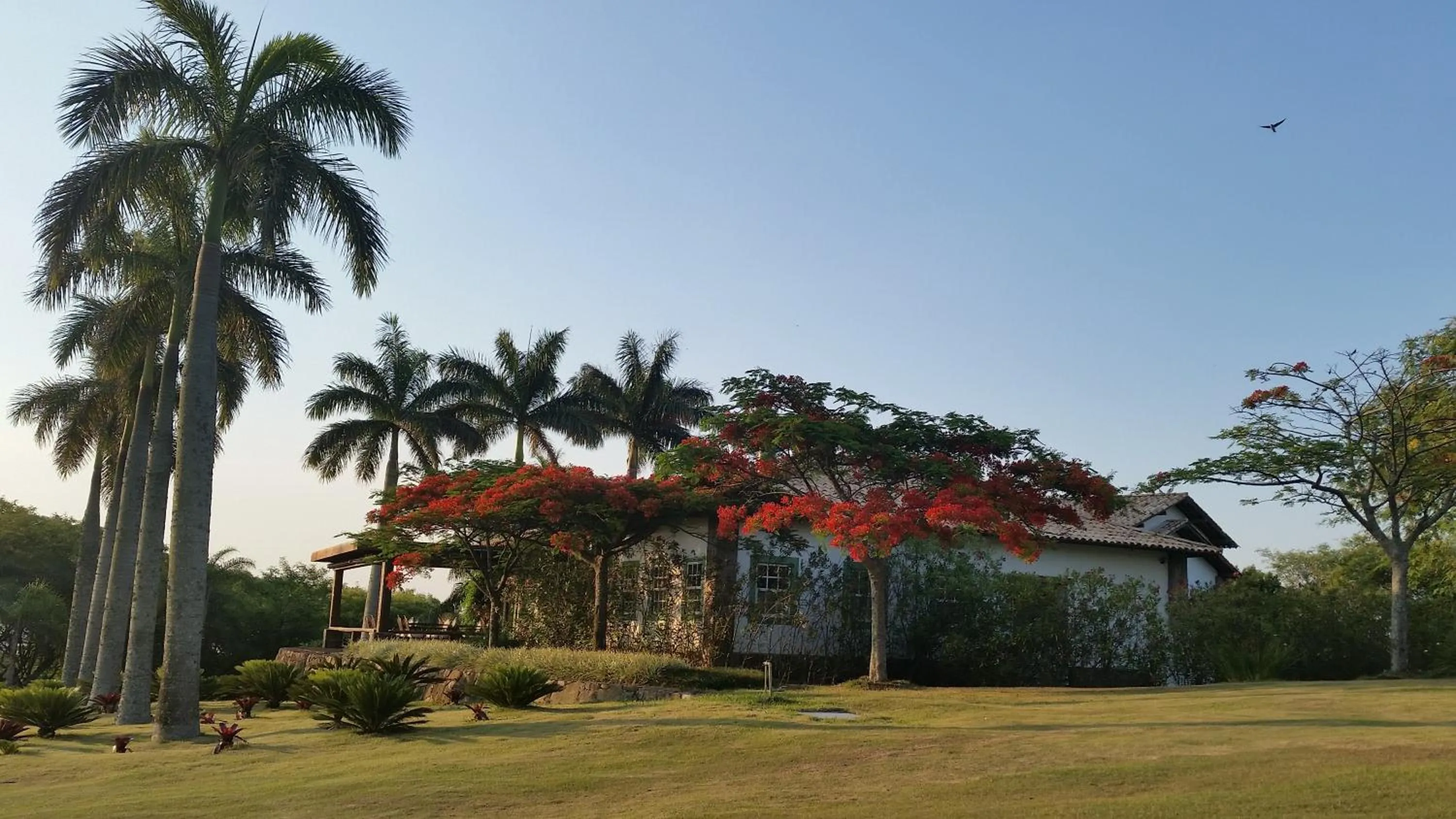 Restaurant/places to eat in Lake Vilas Charm Hotel & SPA