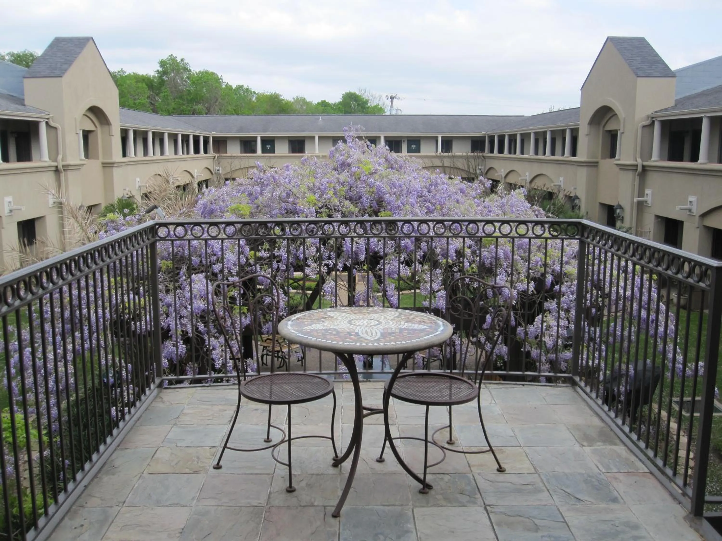 Balcony/Terrace in Vineyard Court Designer Suites Hotel