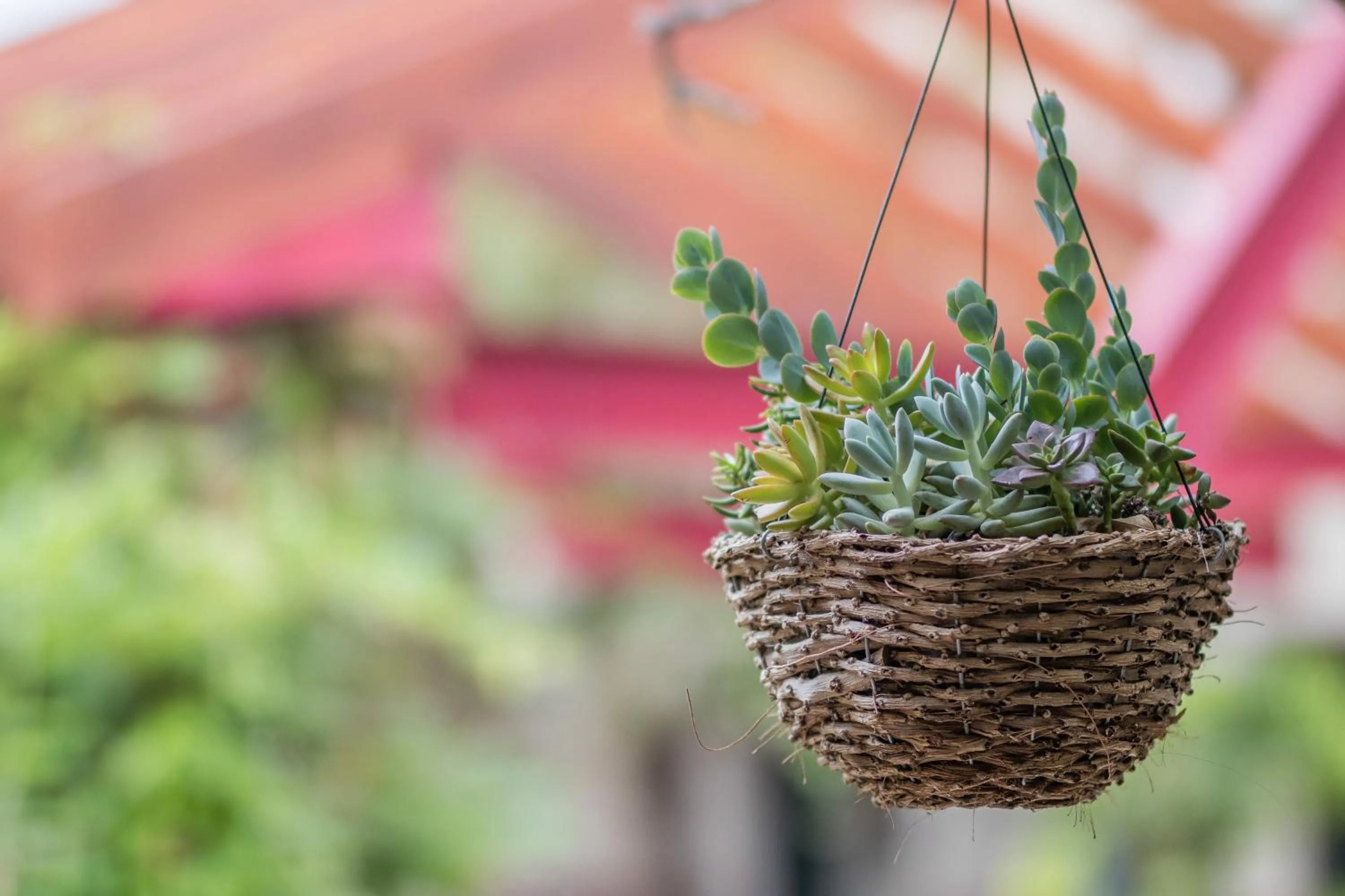 Patio in Vineyard Court Designer Suites Hotel