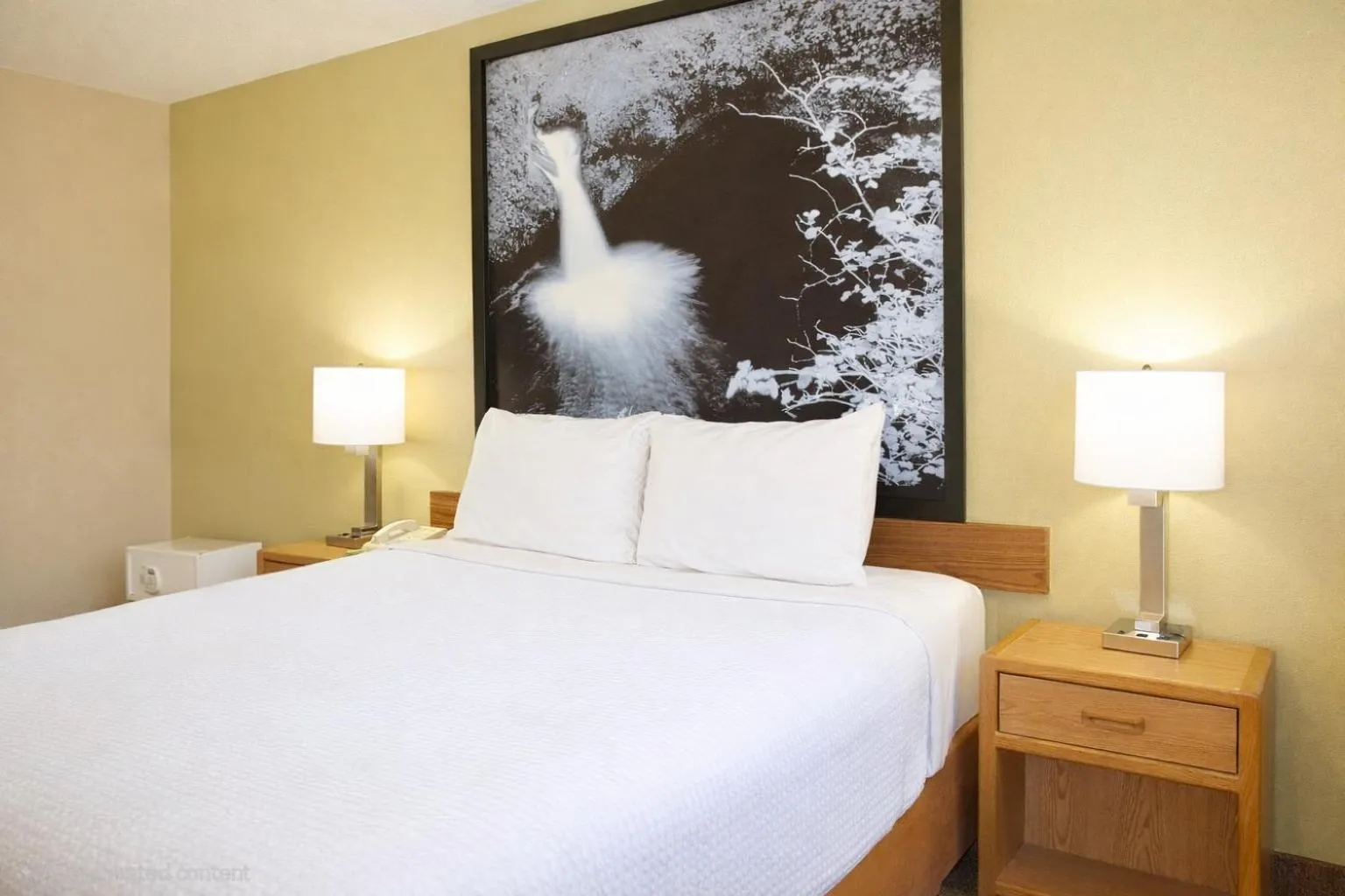 Bedroom, Bed in Super 8 by Wyndham Antigo