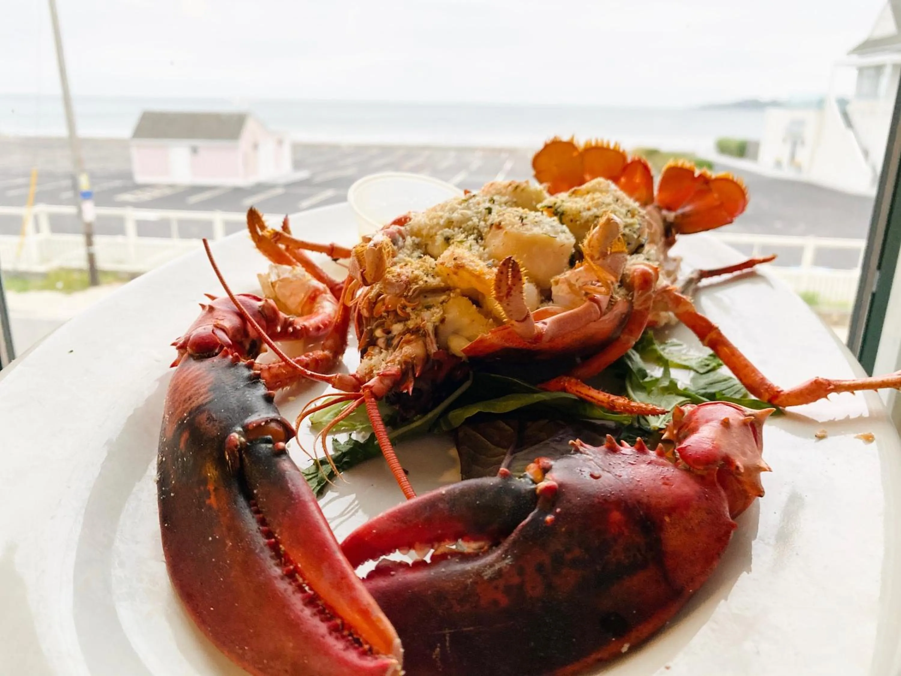 Restaurant/places to eat in Atlantic Beach Hotel Newport
