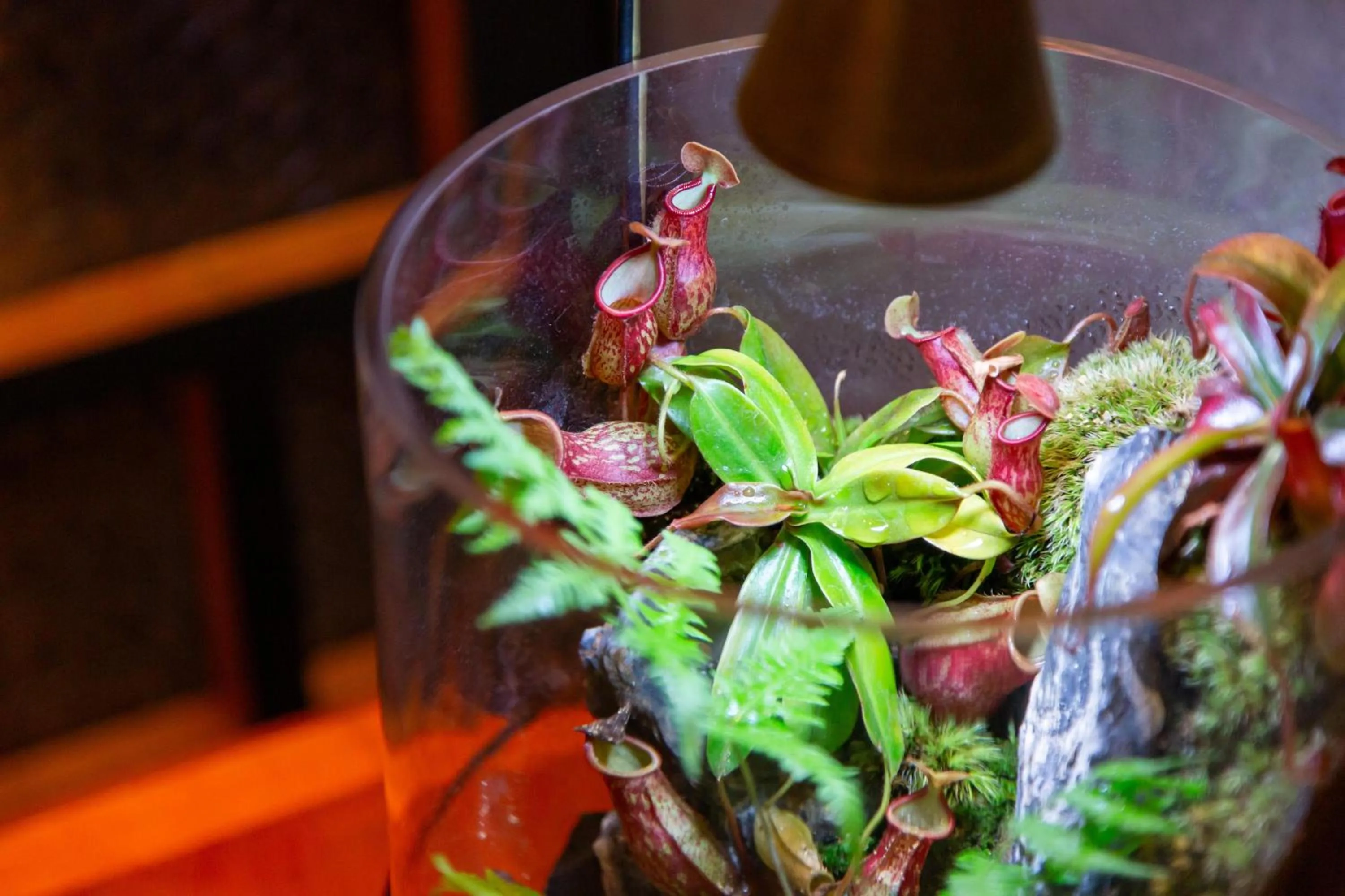 Lobby or reception in Hotel Landmark Umeda