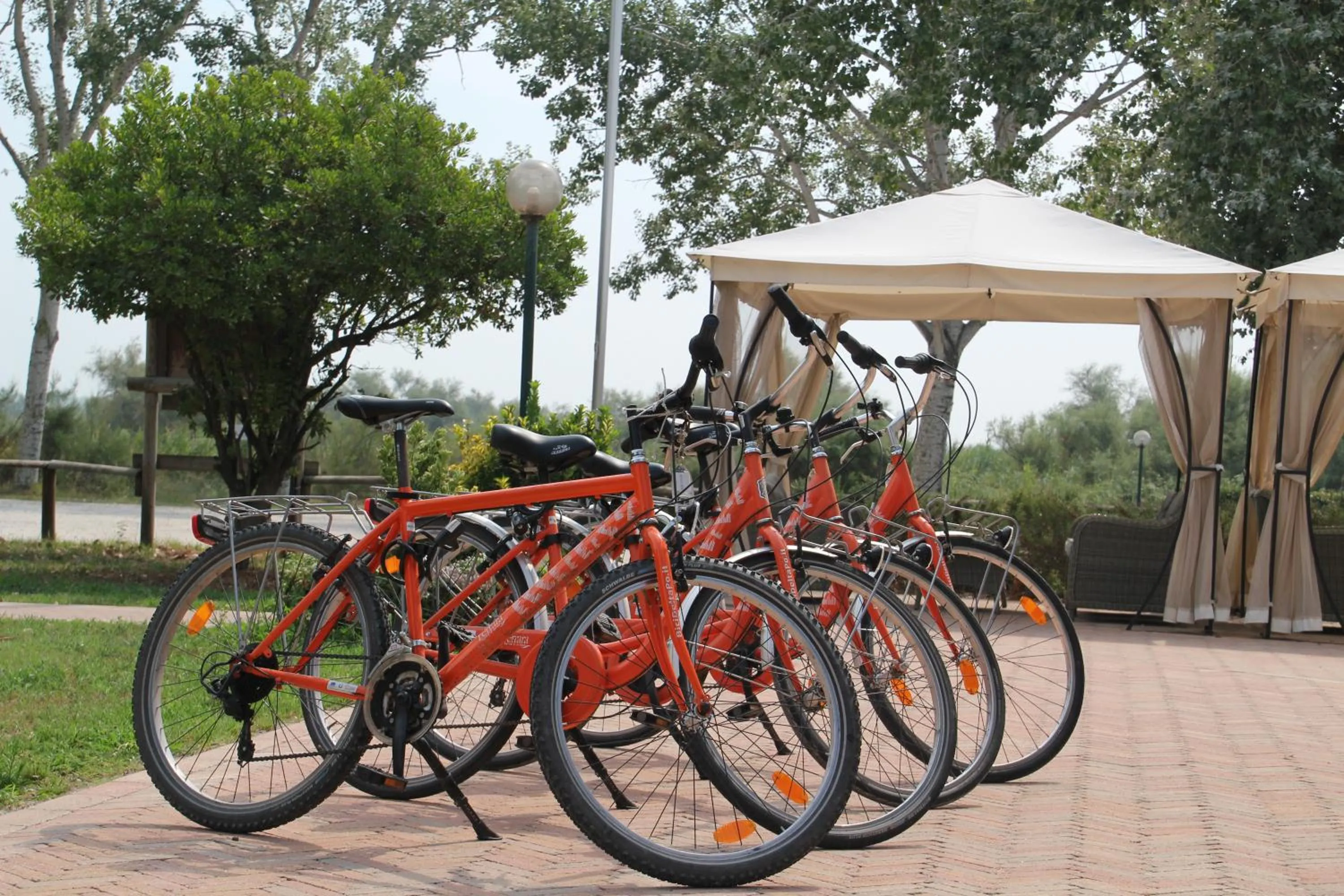 Cycling in Hotel Rurale Canneviè