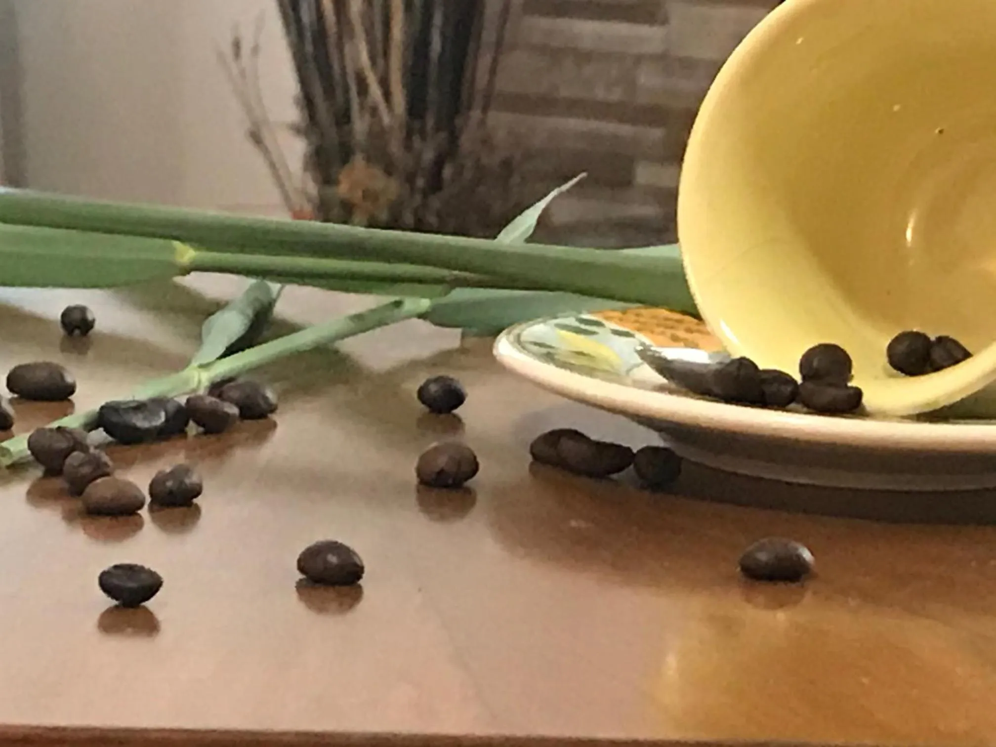 Breakfast in Hotel Rurale Canneviè