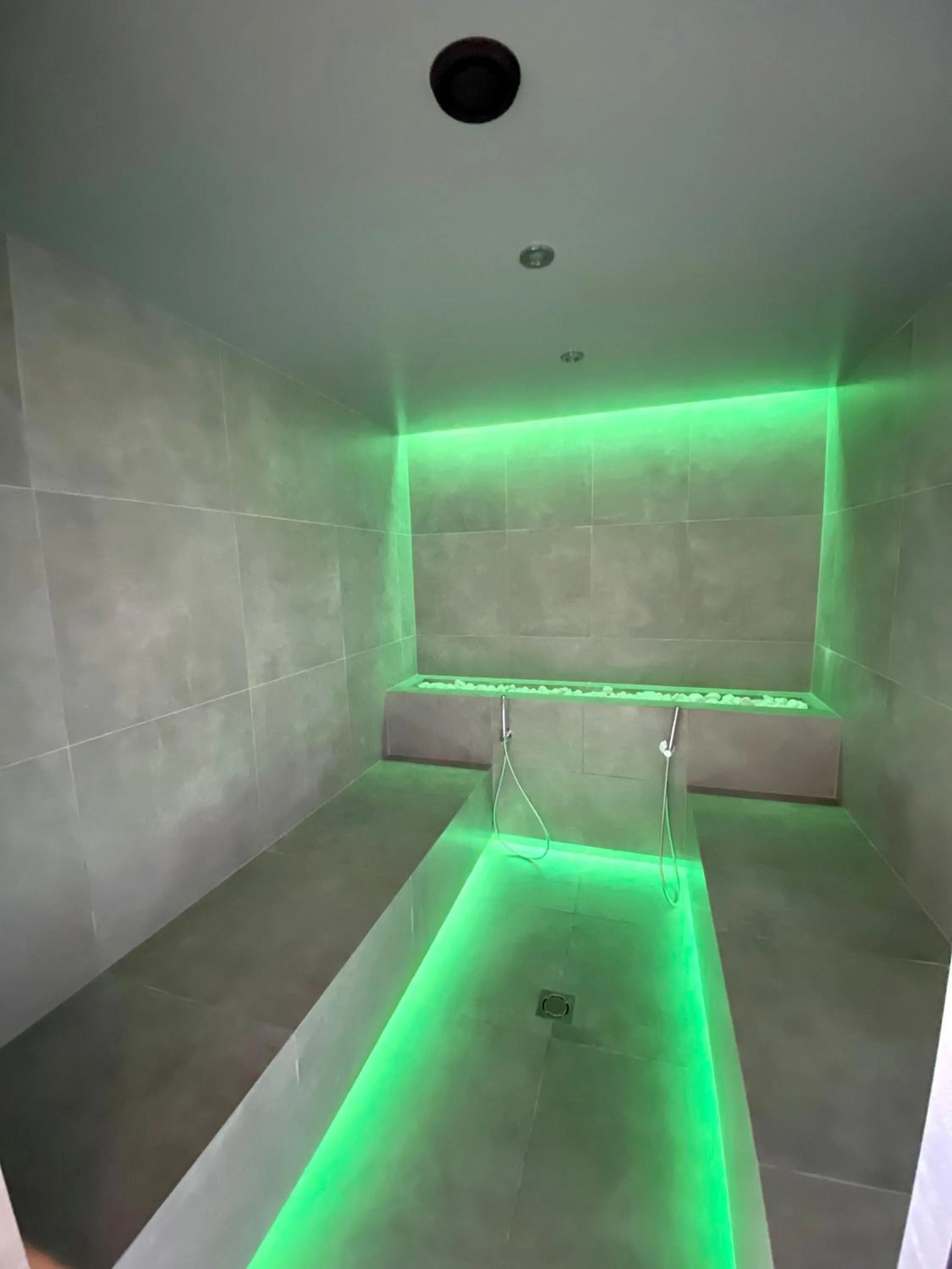 Steam room, Swimming Pool in Albergo Rutzer