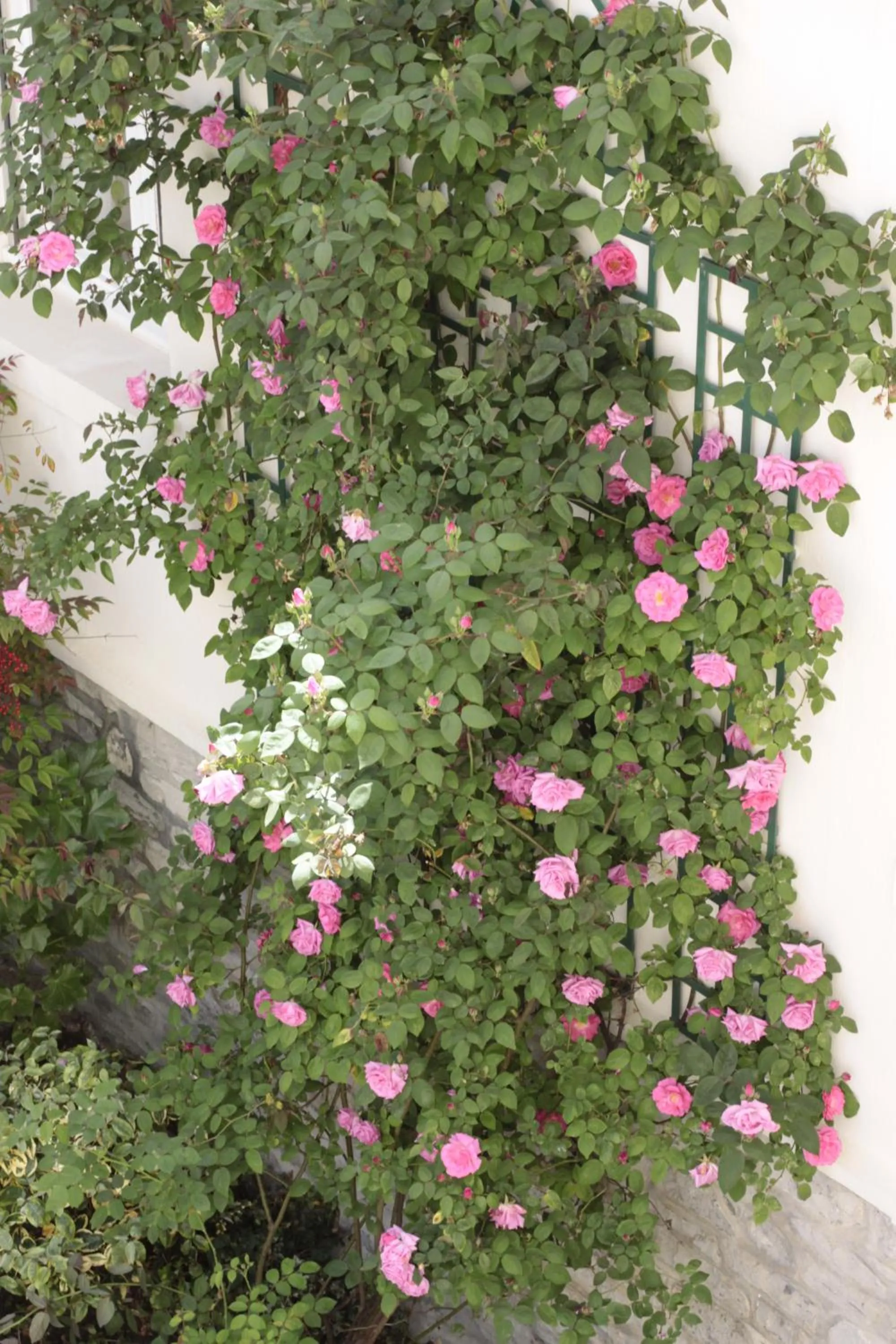 Other in Hôtel Maïtagaria