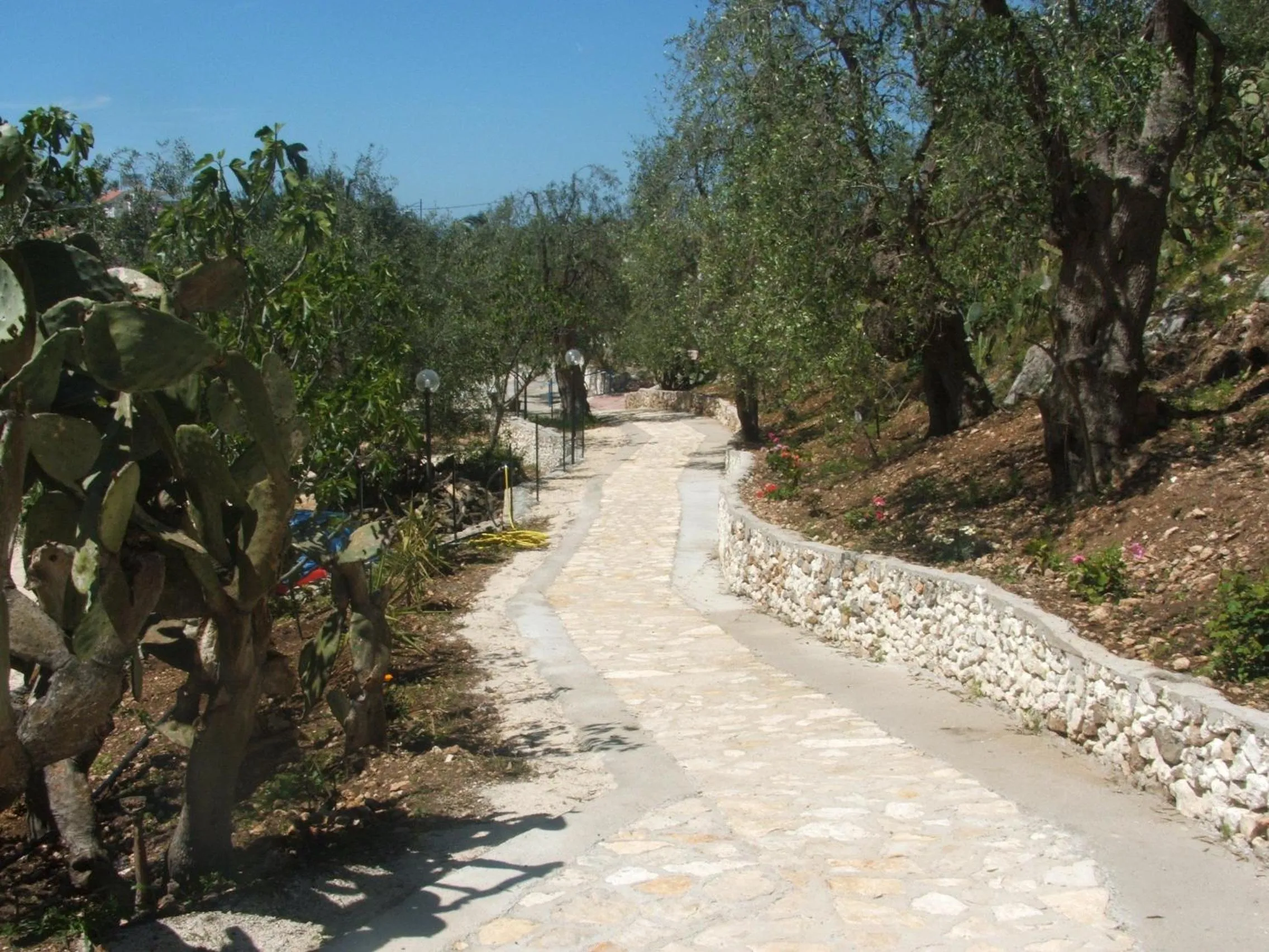 Day in Hotel Piccolo Paradiso