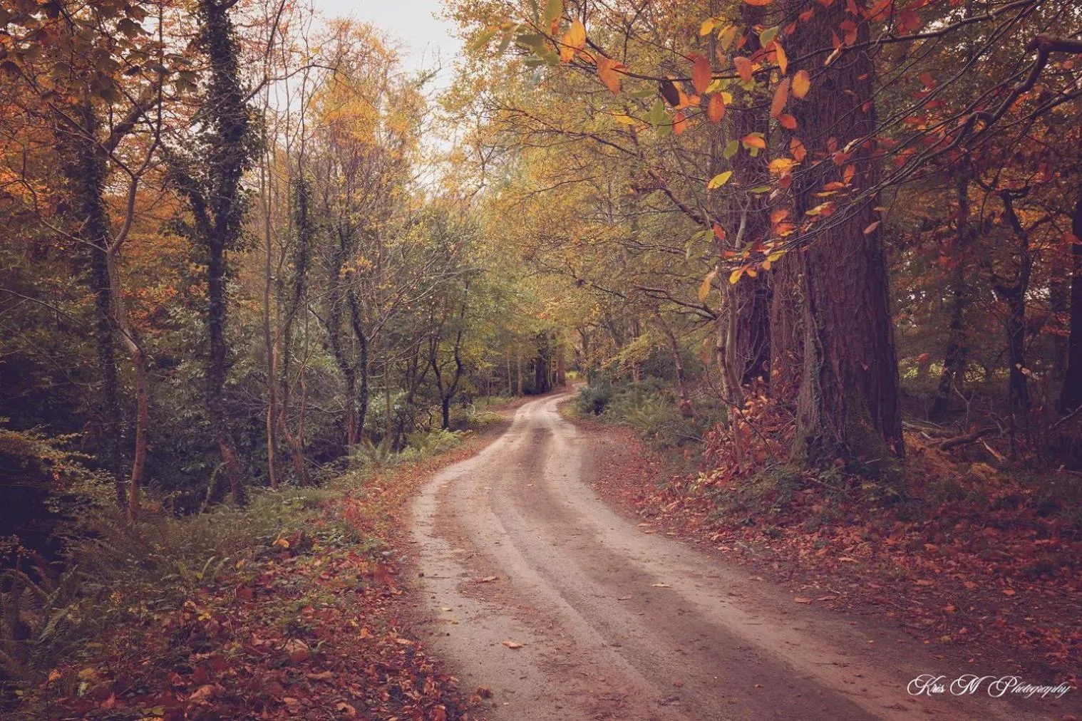 Location in Brook Lodge Boutique Hotel