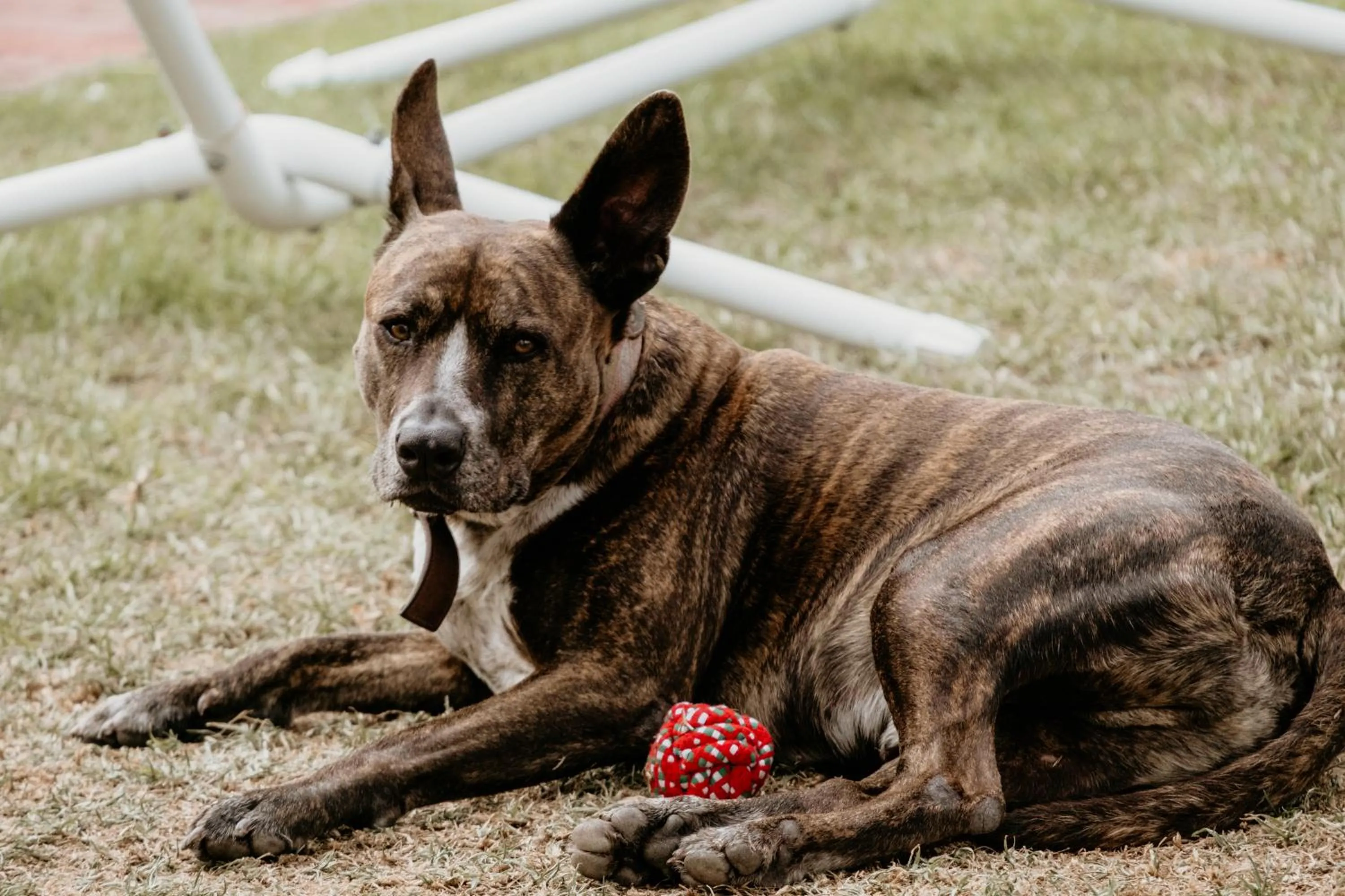 Staff in The Wandering Whale Port Fairy