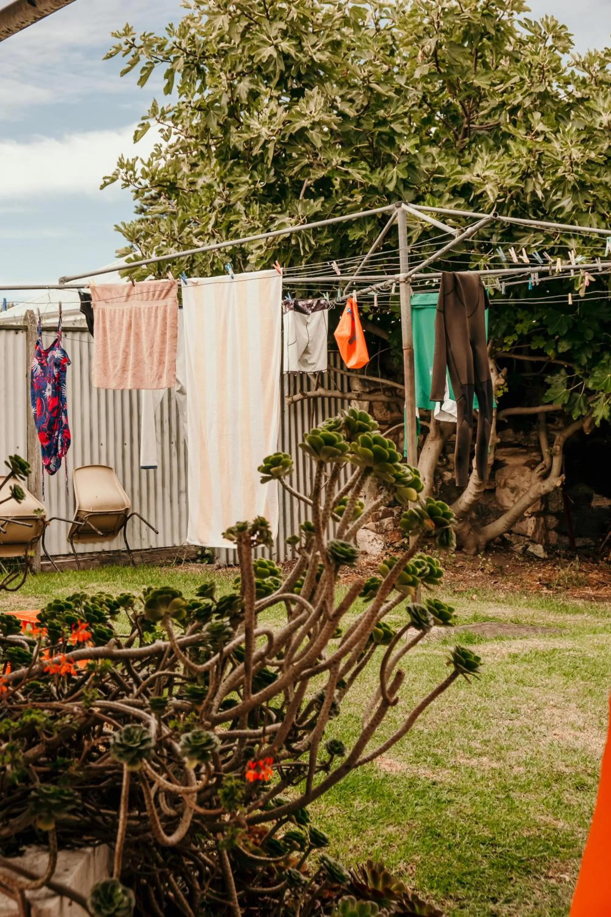 Garden in The Wandering Whale Port Fairy