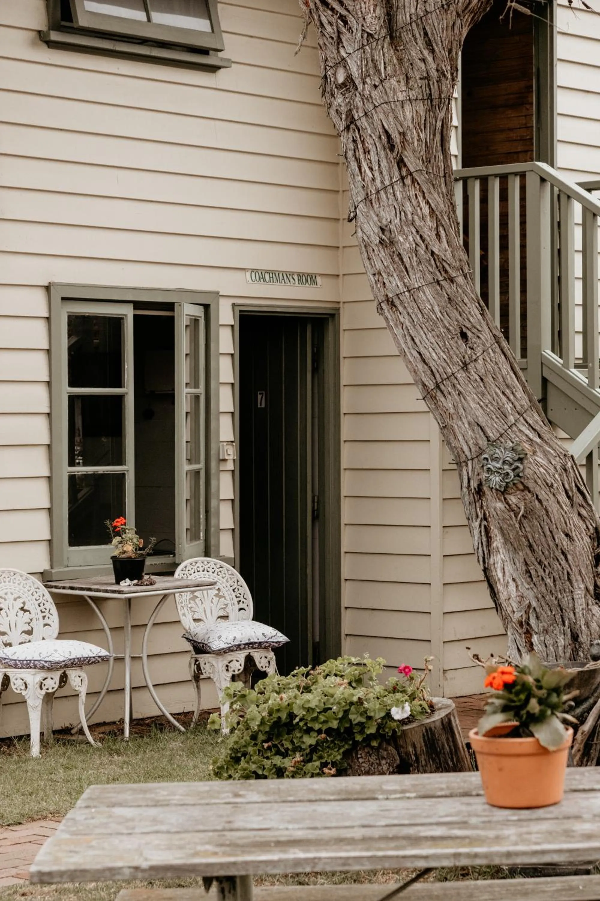 Spring in The Wandering Whale Port Fairy